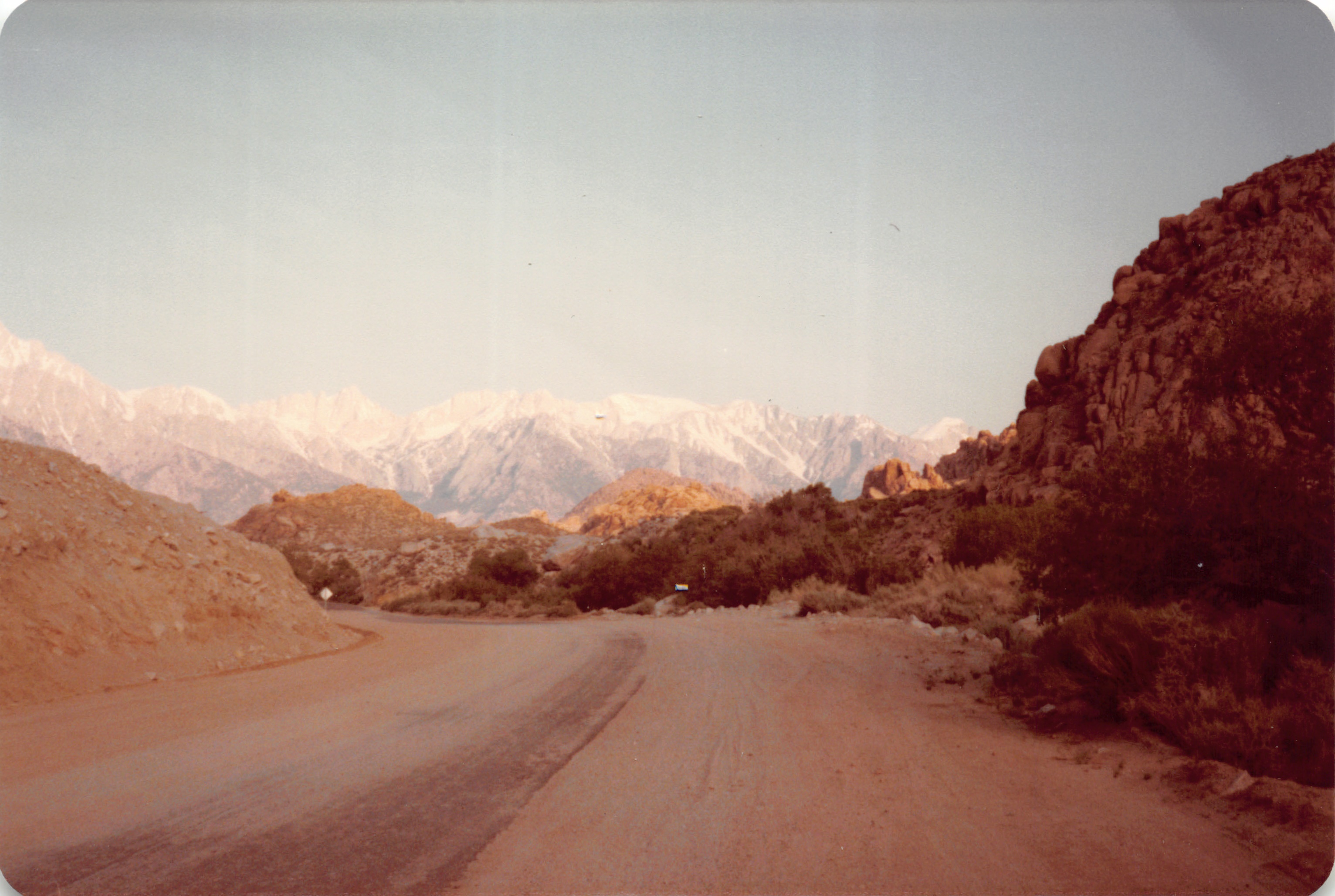 1983_03.jpg