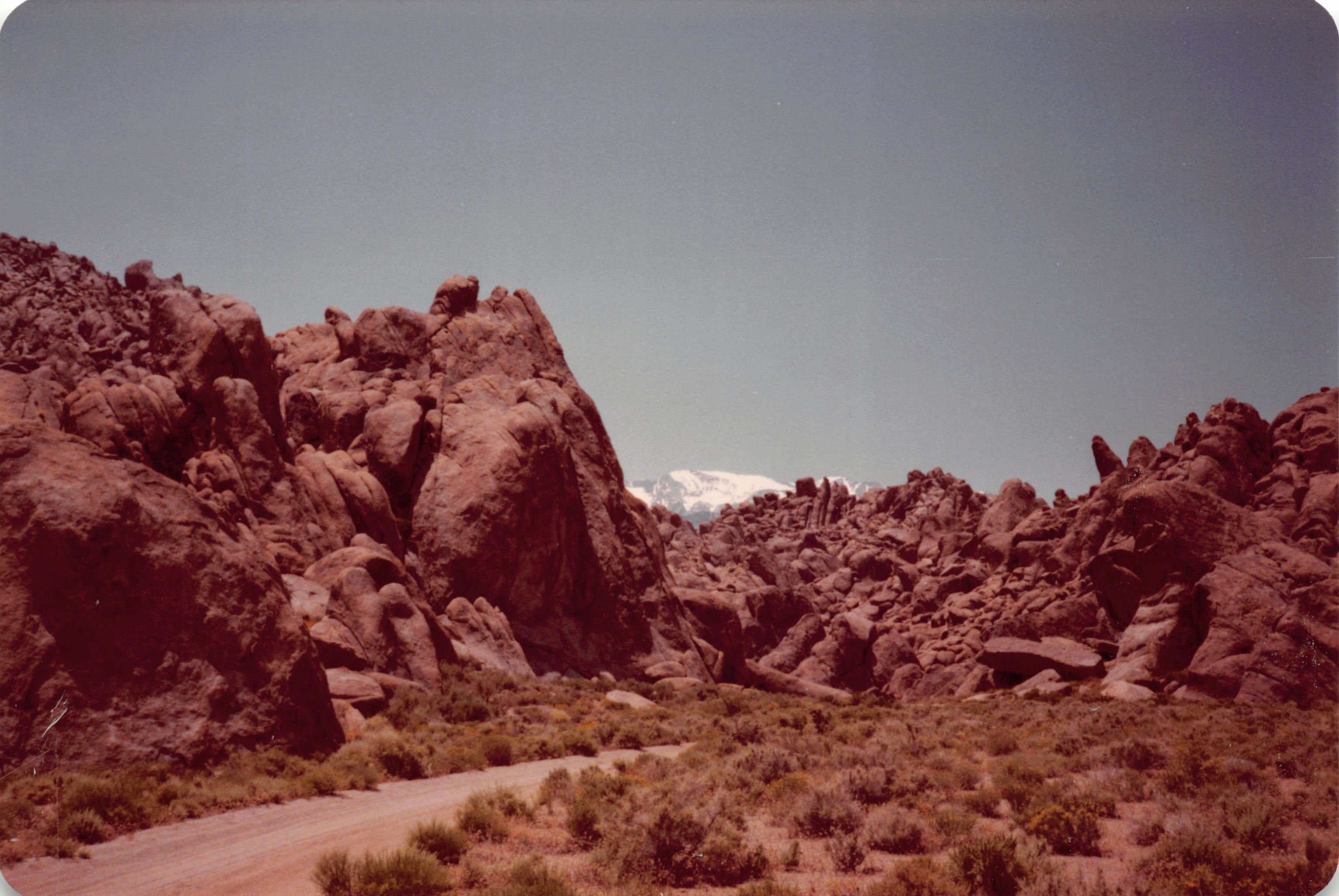 1983_08.jpg
