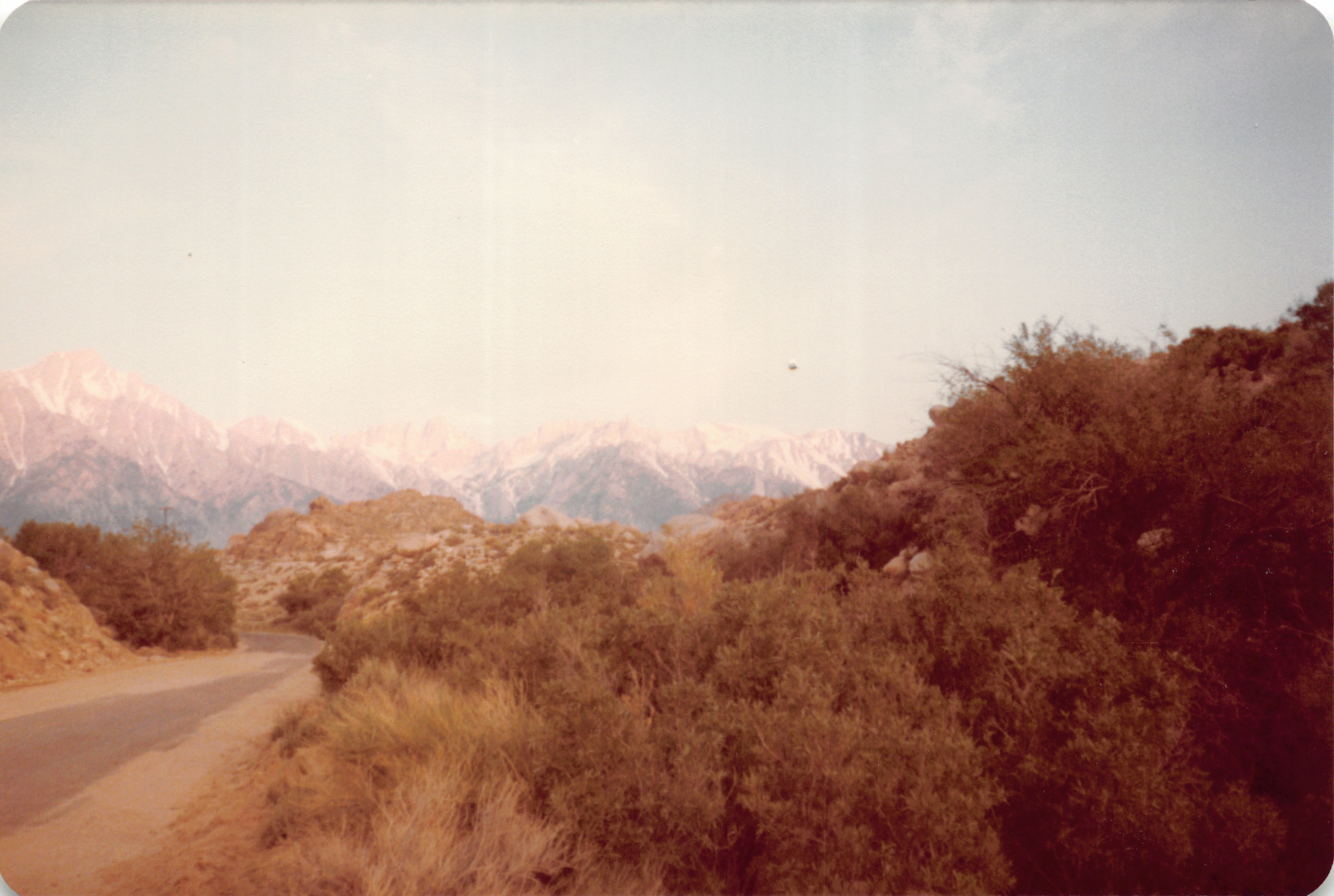 1983_10.jpg