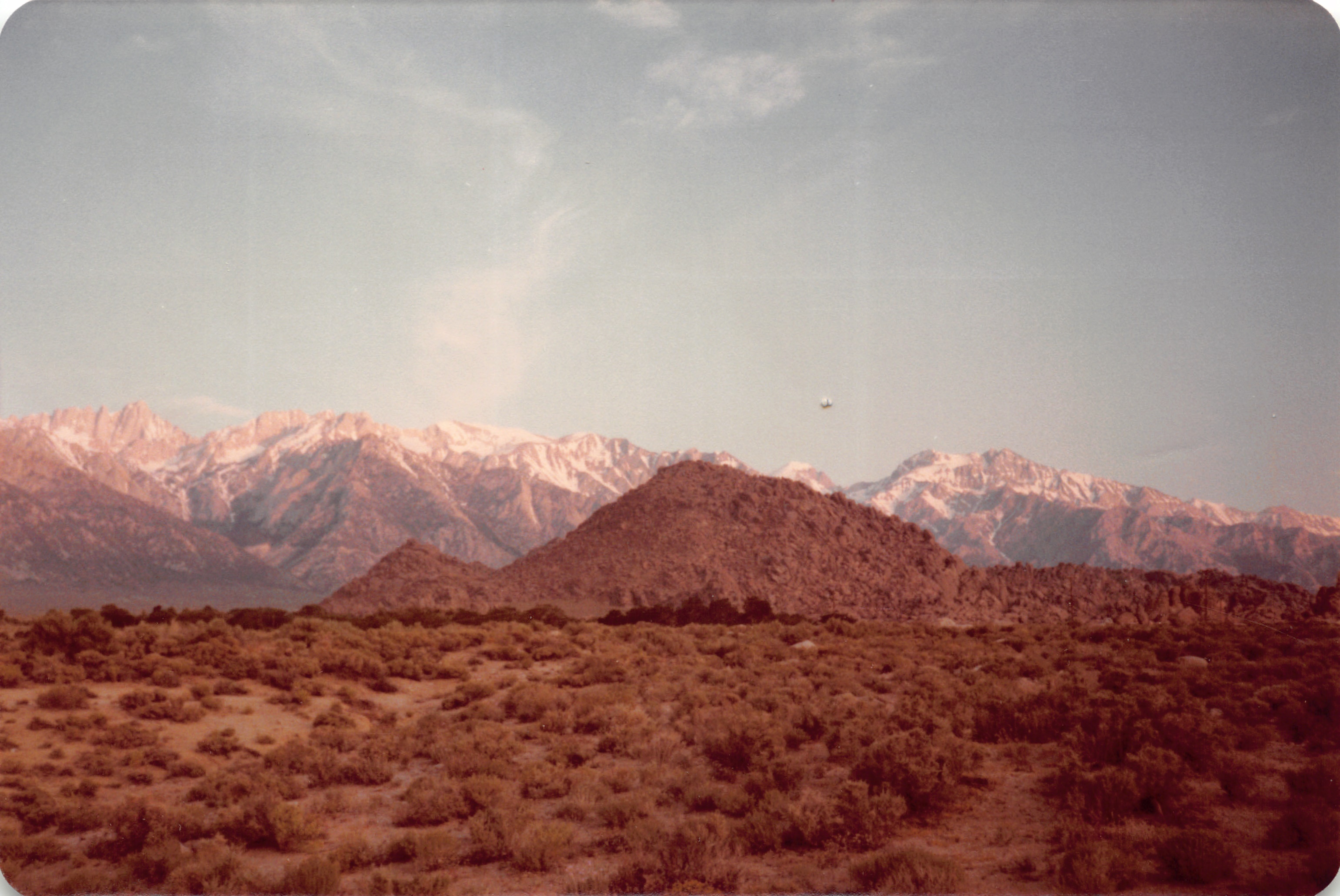 1983_14.jpg