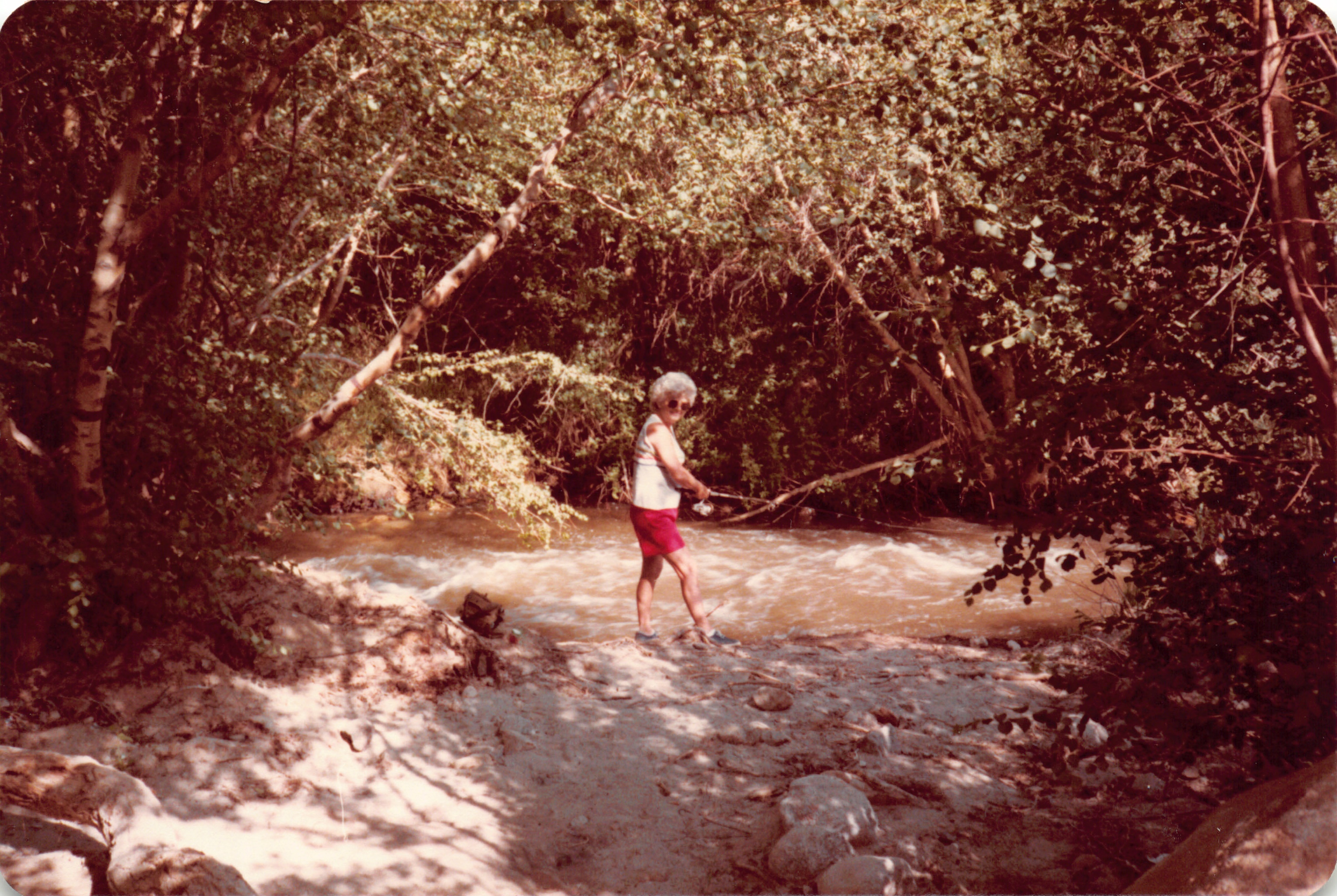 1983_17.jpg
