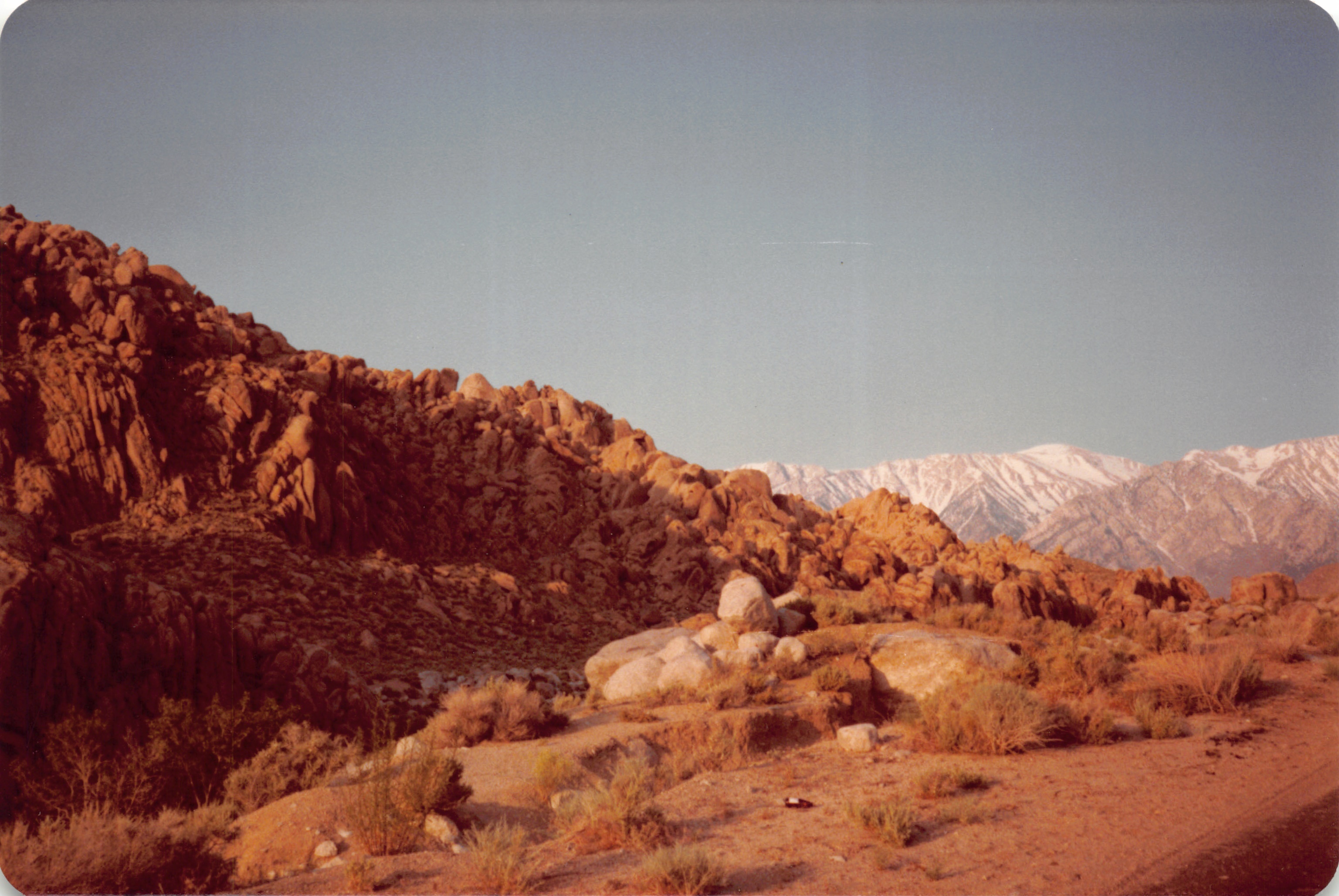 1983_18.jpg
