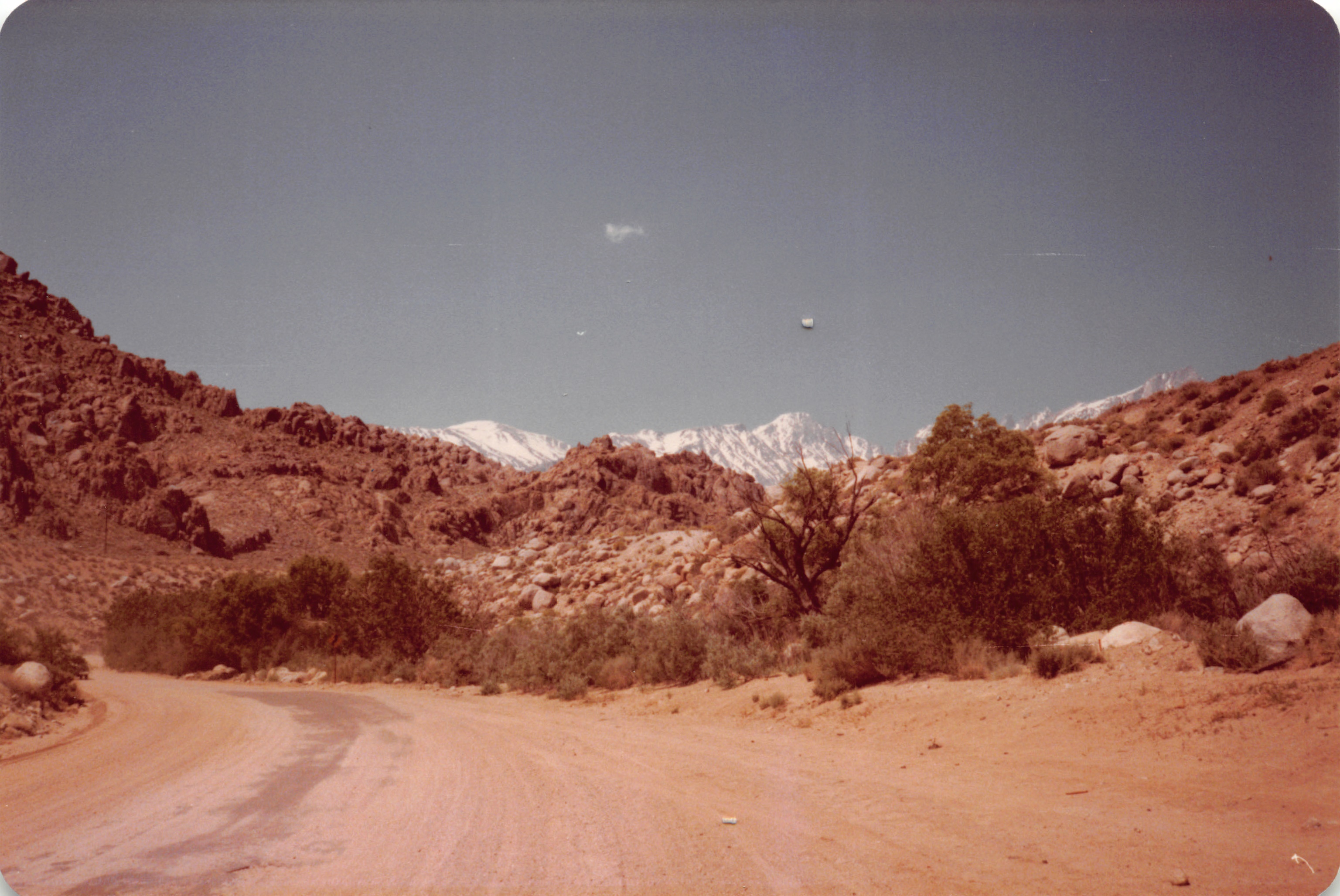 1983_19.jpg