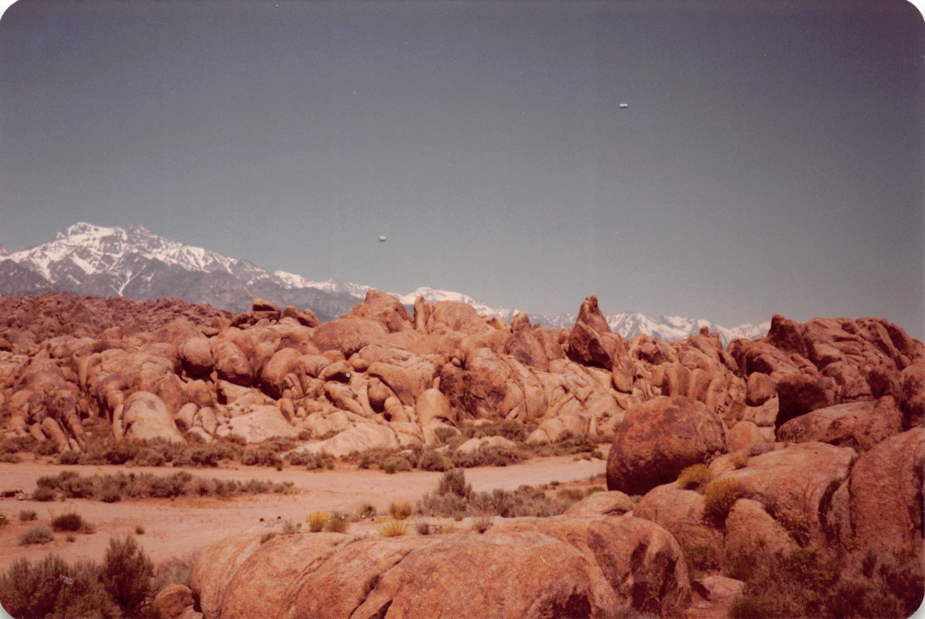1983_20.jpg