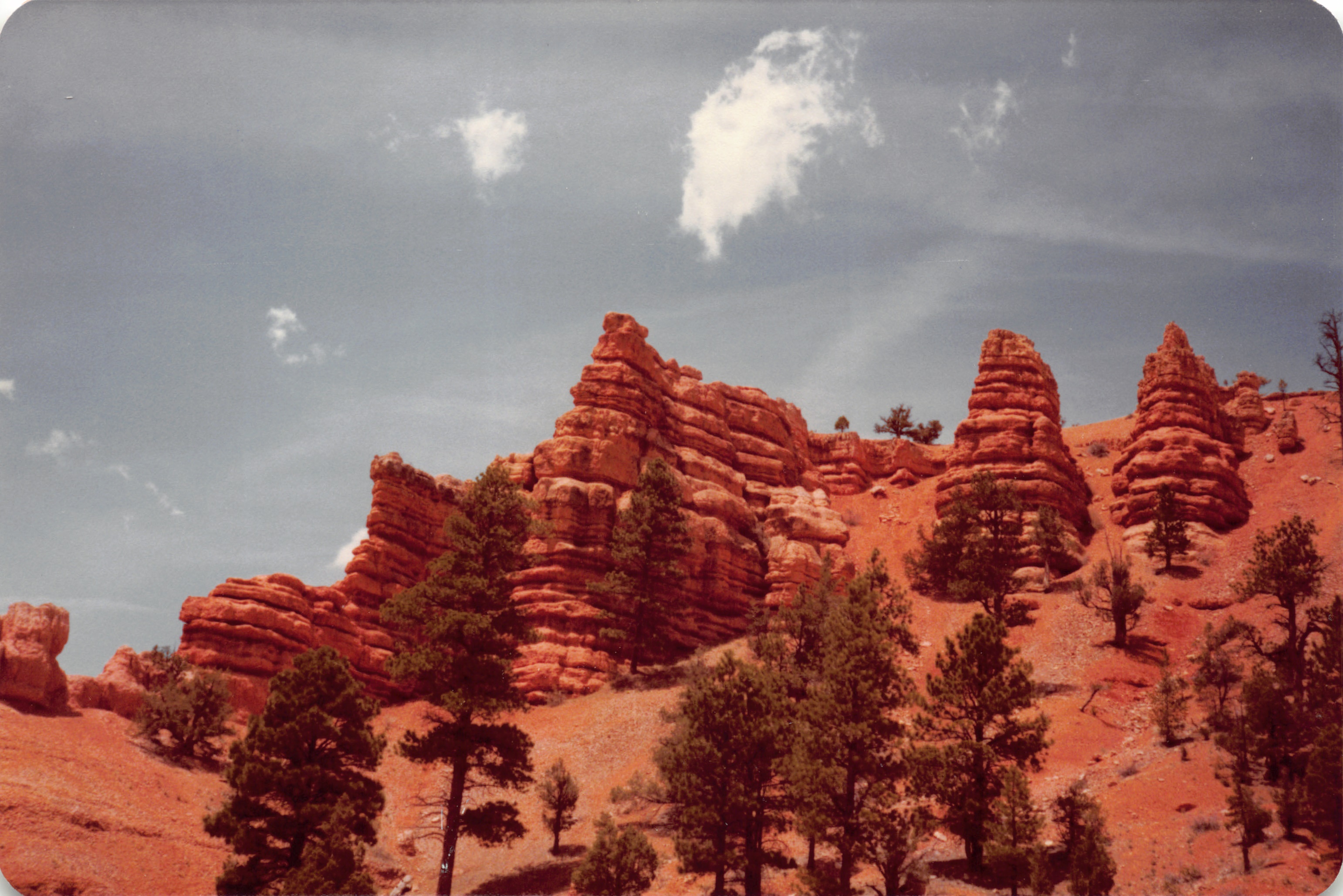 1983_28.jpg