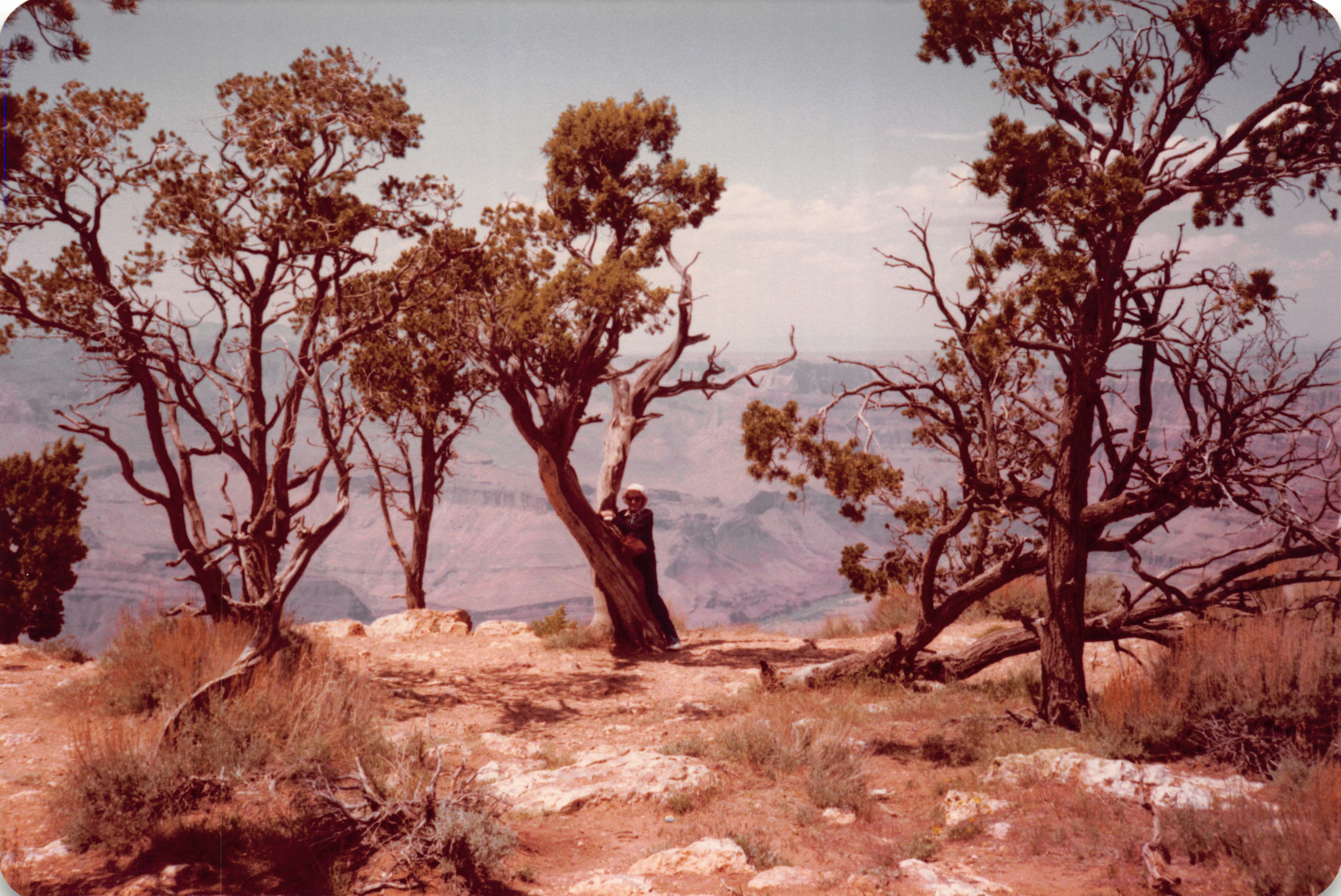 1983_35.jpg