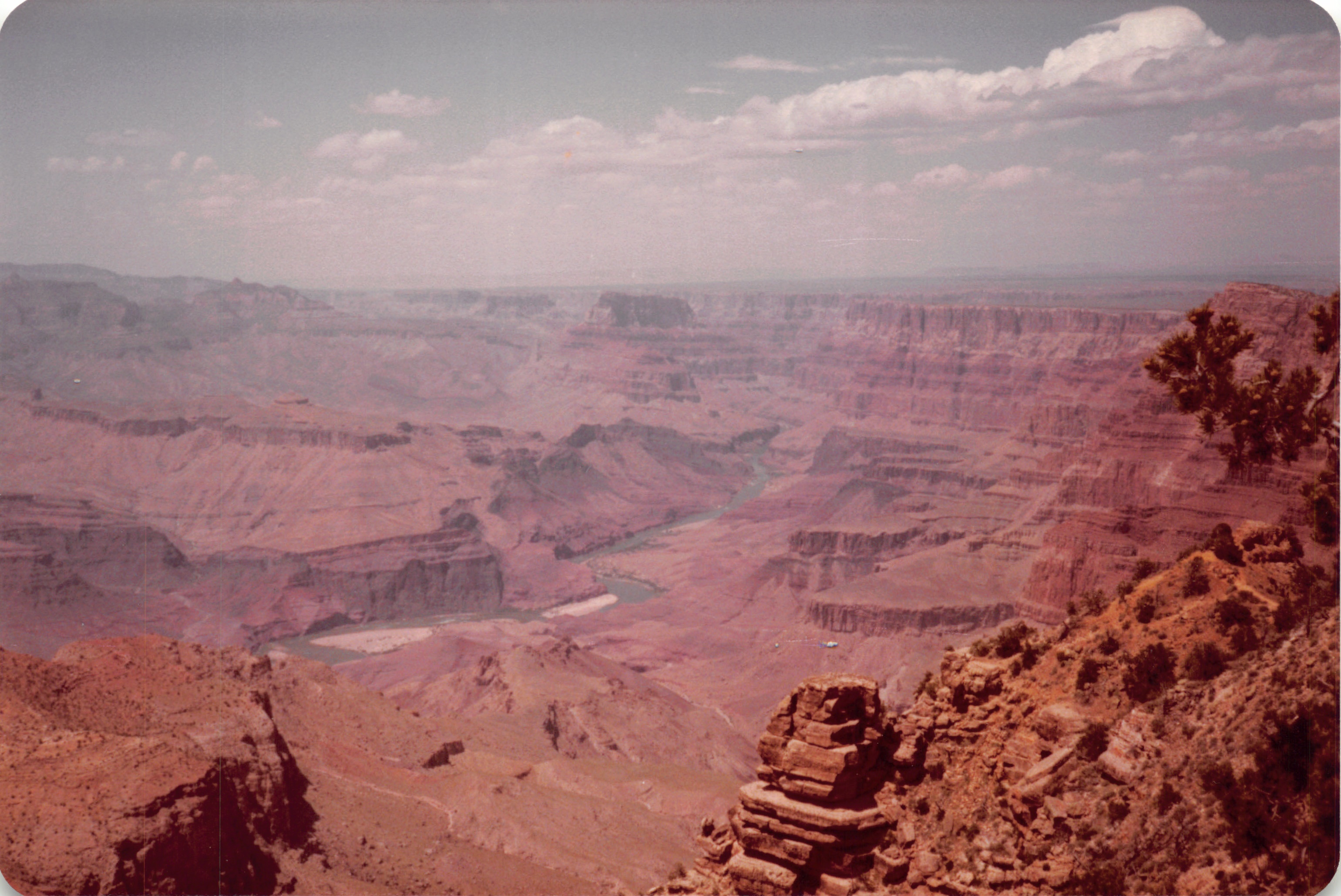 1983_37.jpg