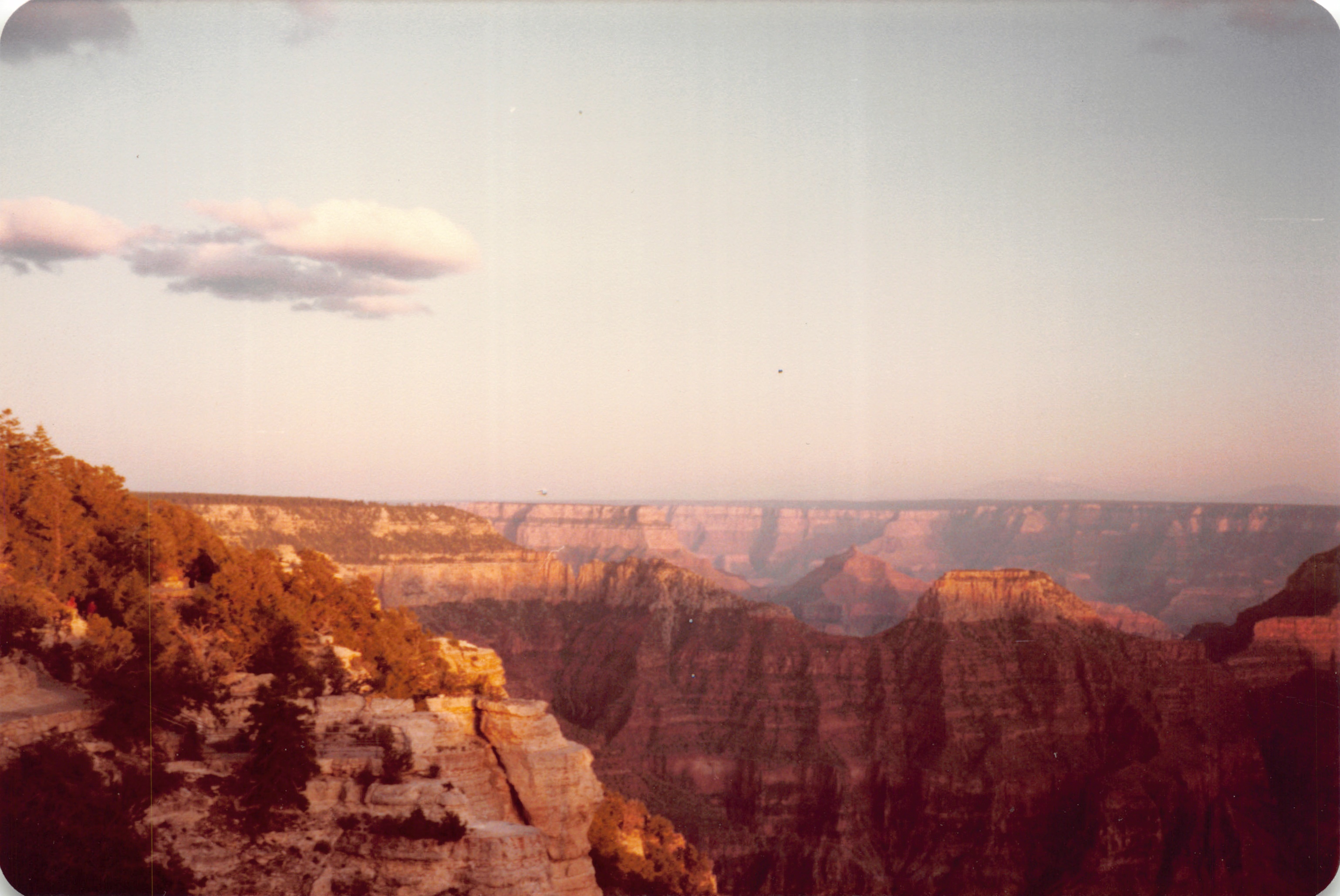 1983_39.jpg