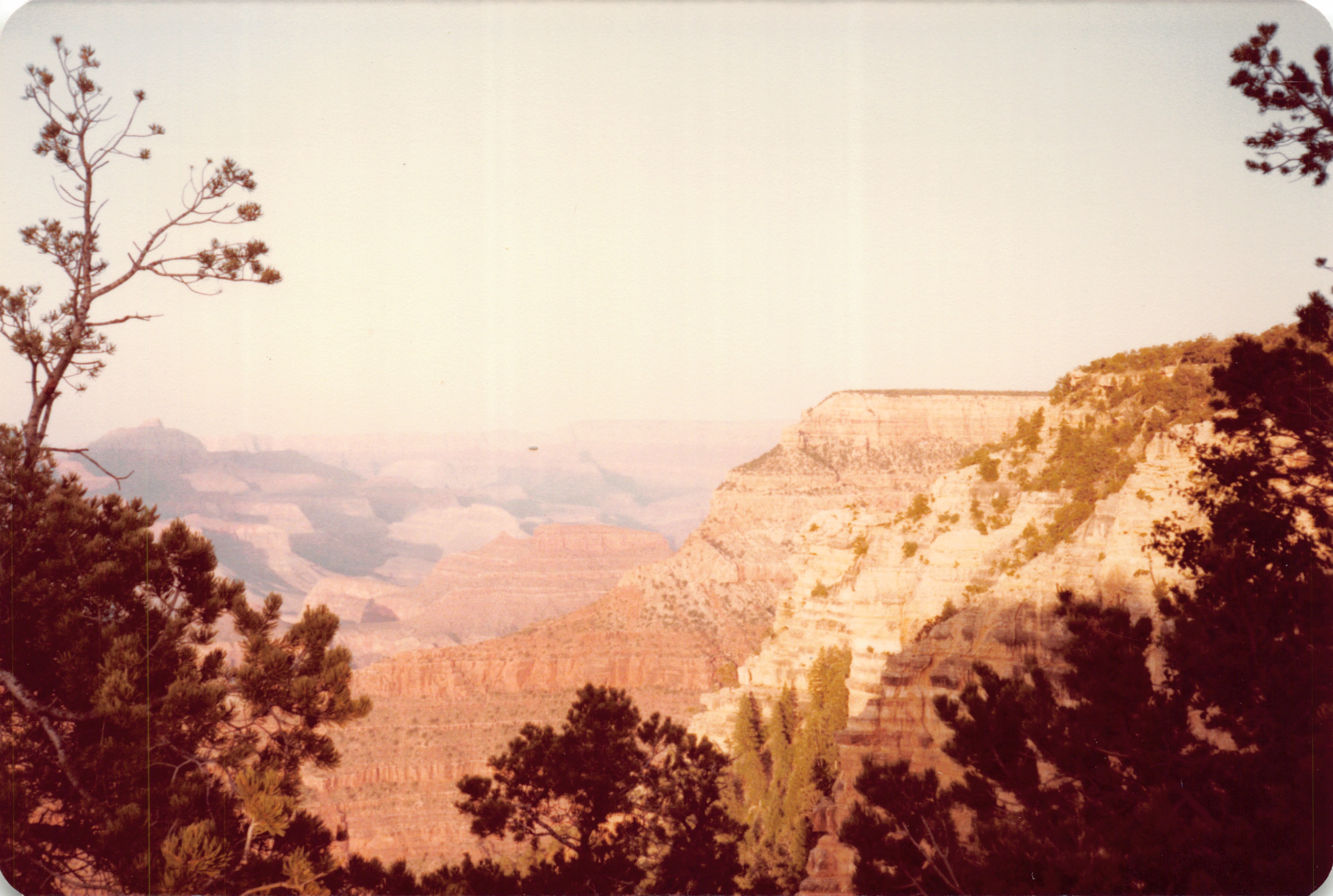1983_40.jpg