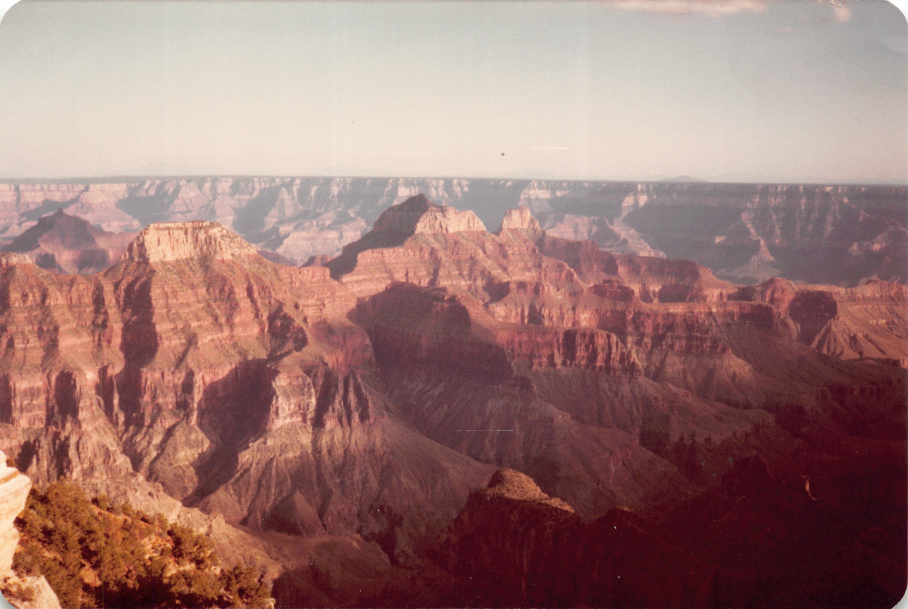 1983_41.jpg
