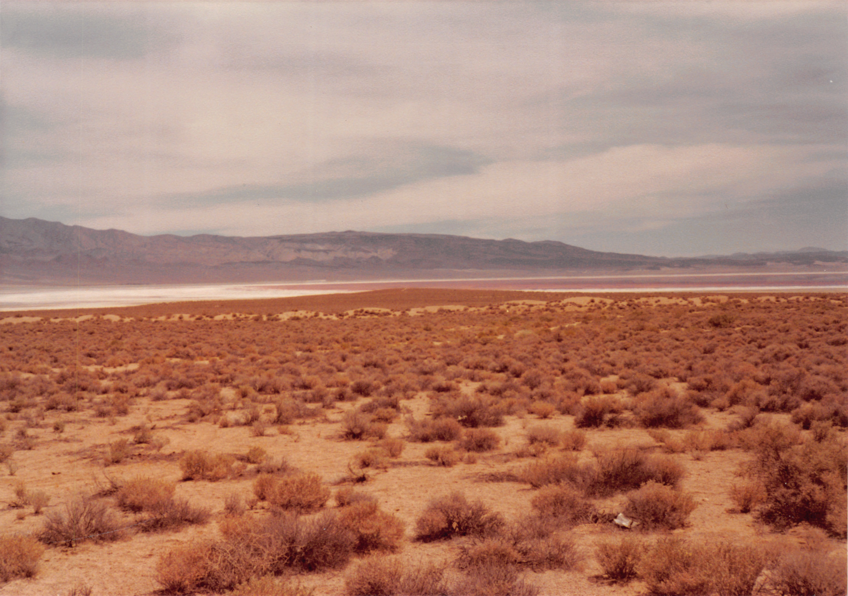 1984_02.jpg