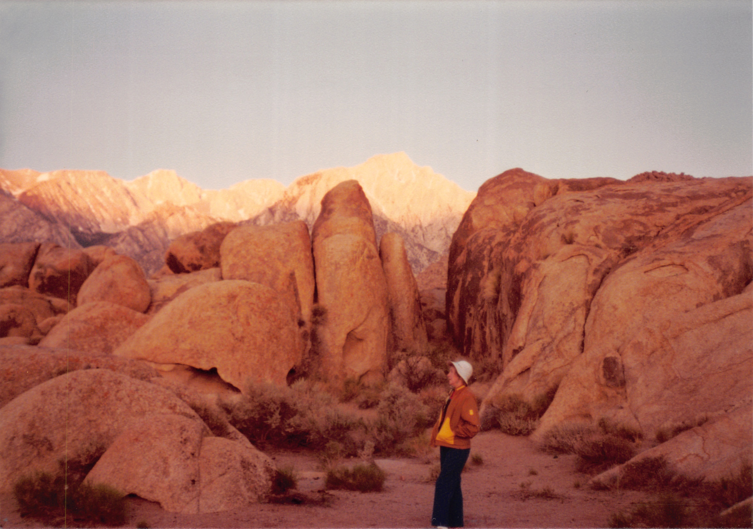 1984_10.jpg