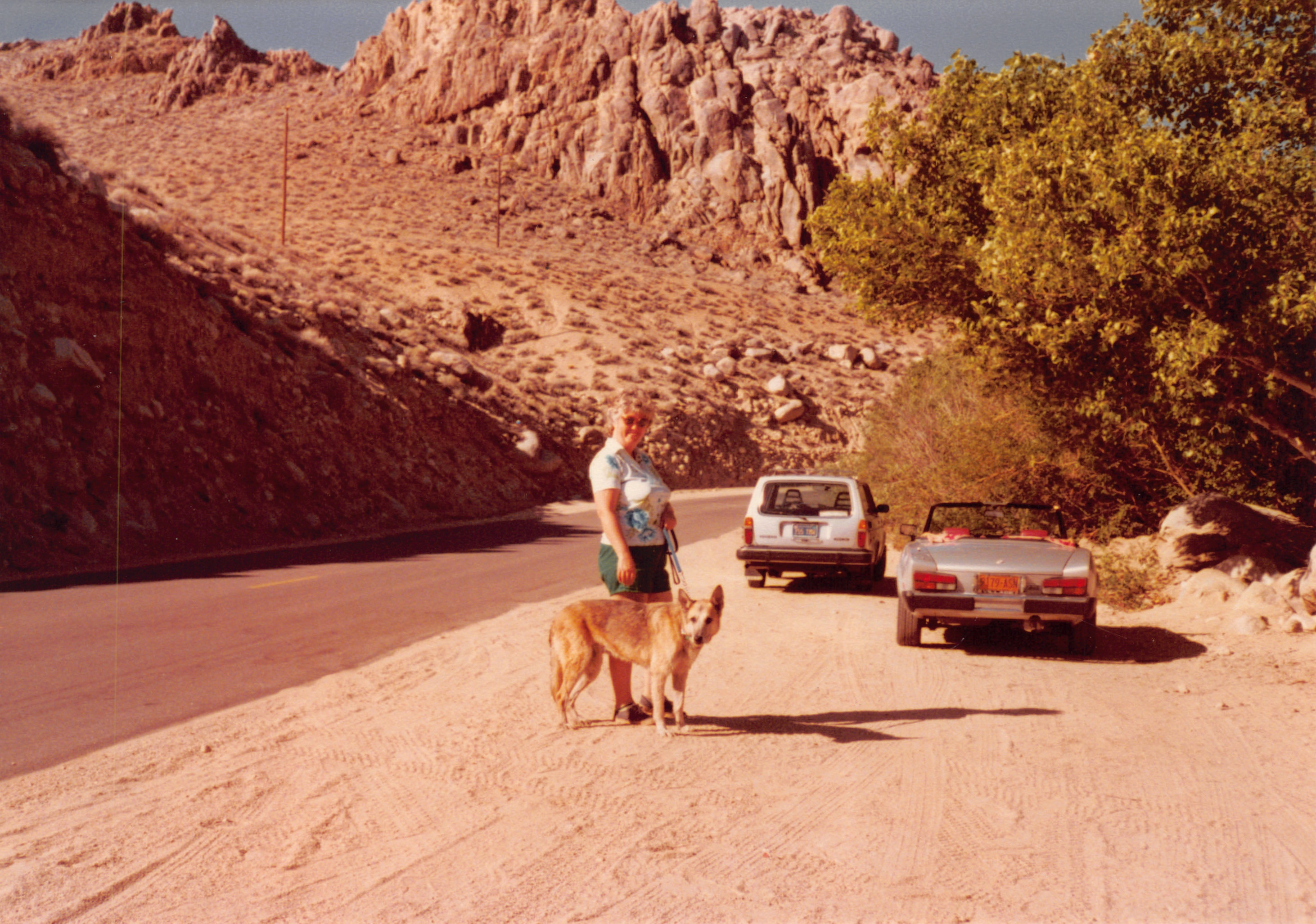 1984_12.jpg