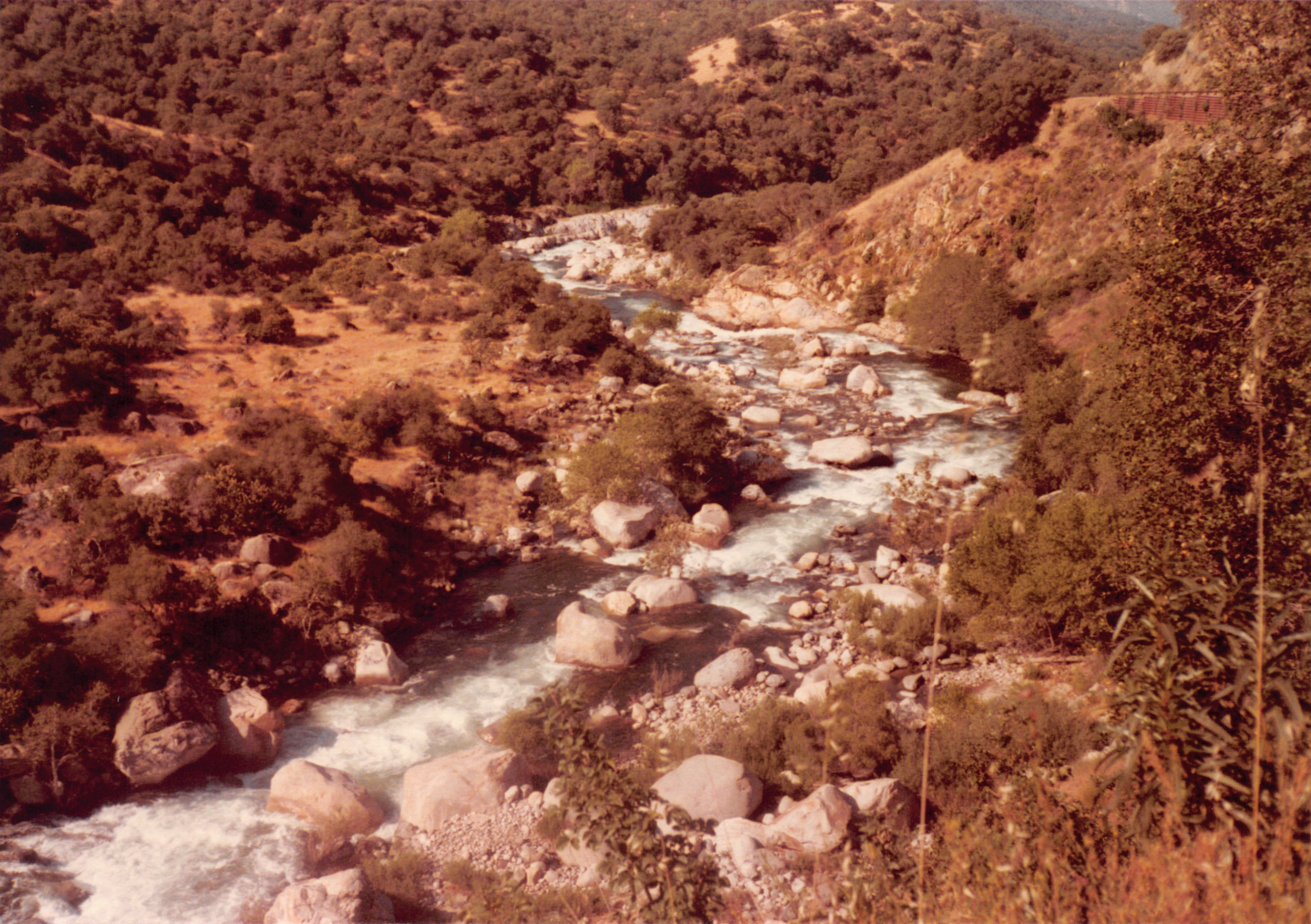 1984_24.jpg