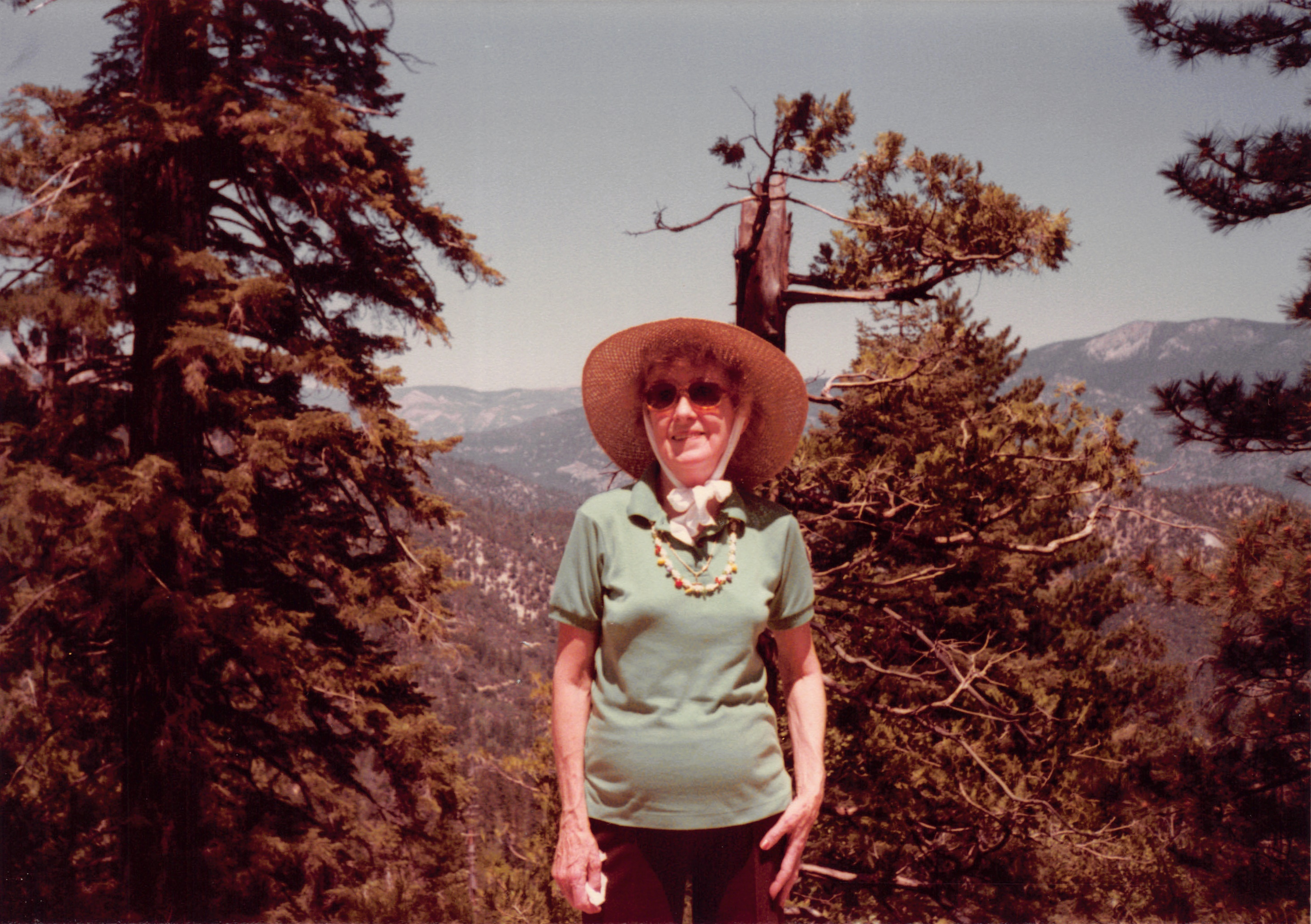 1984_26.jpg