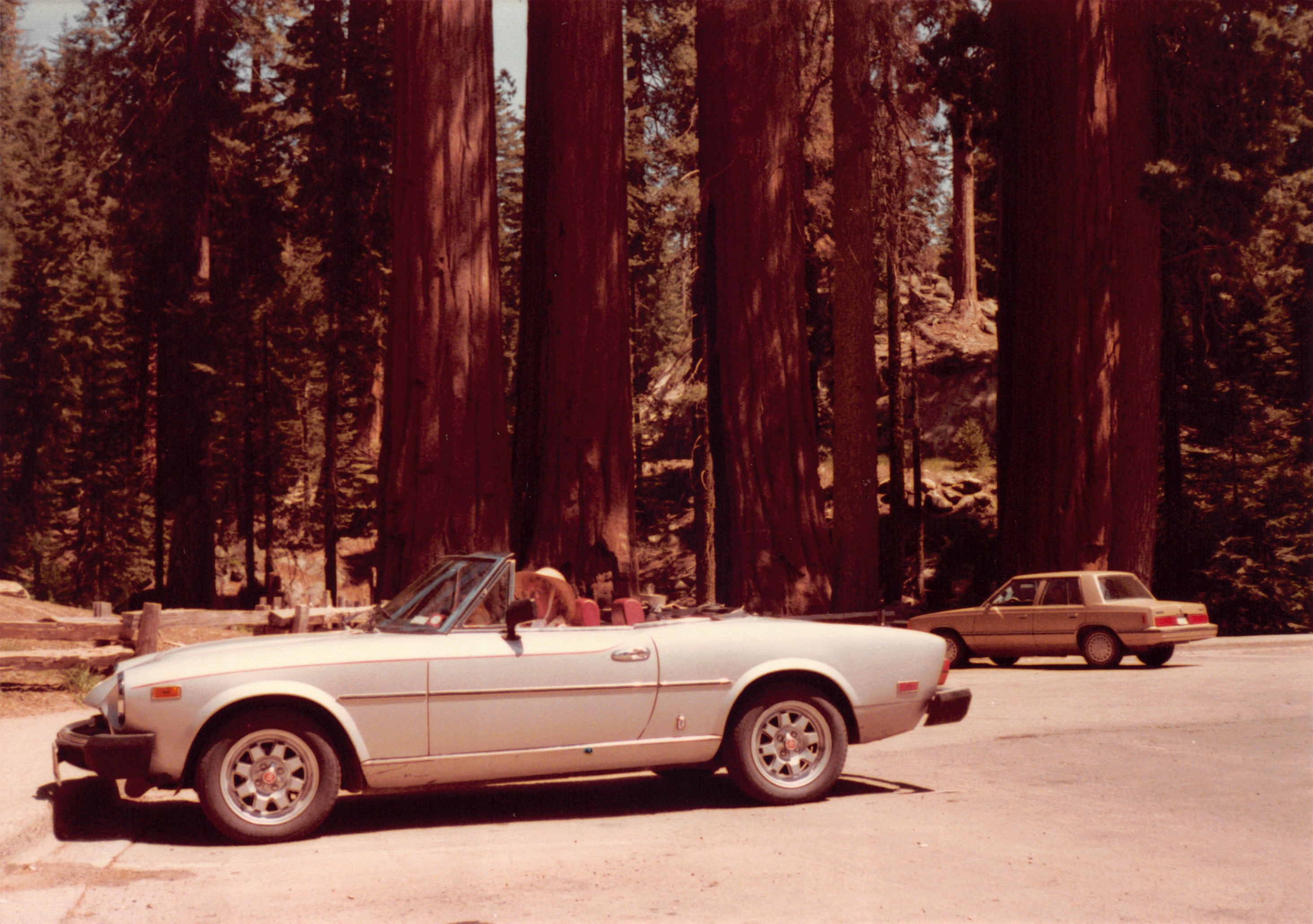 1984_28.jpg