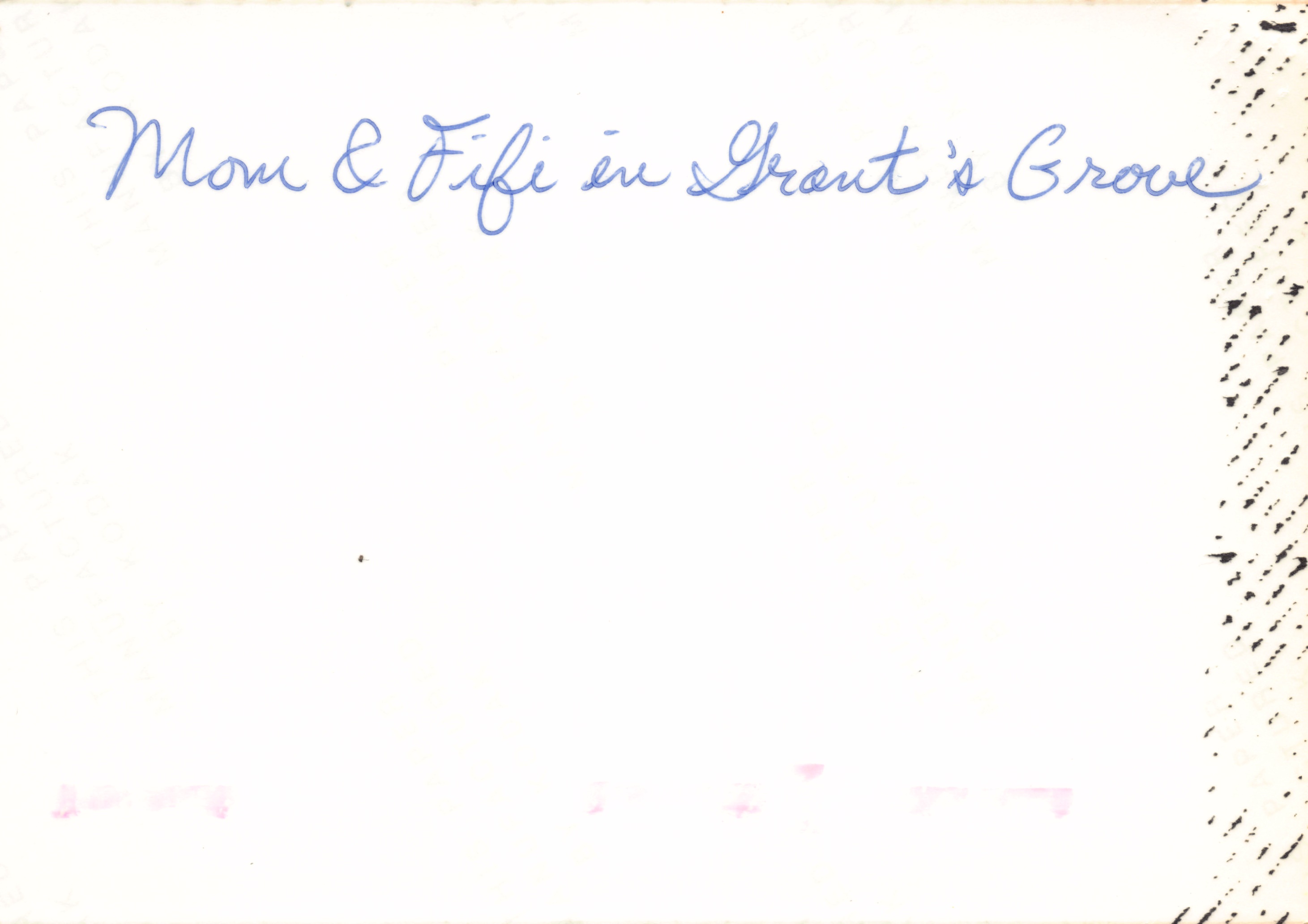 1984_29.jpg