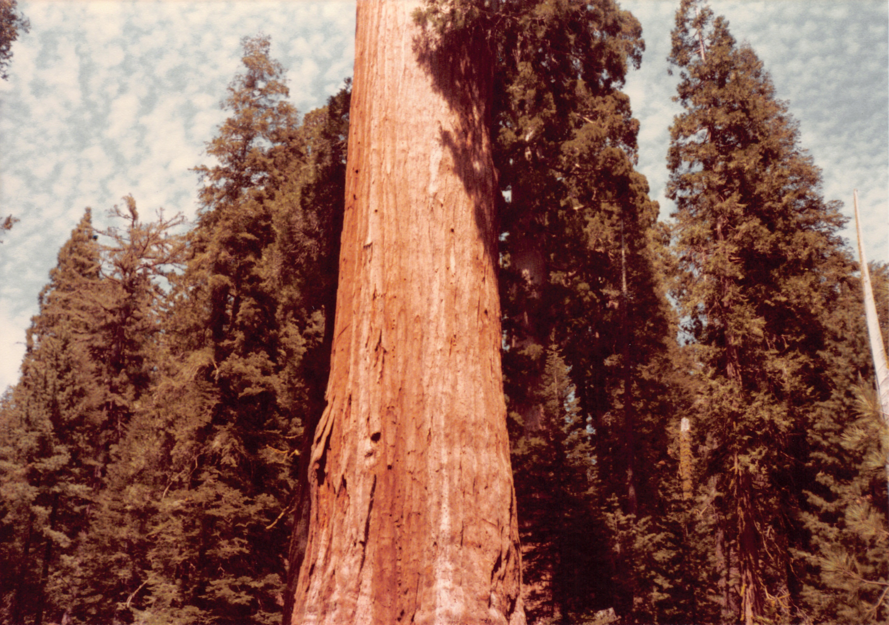 1984_30.jpg