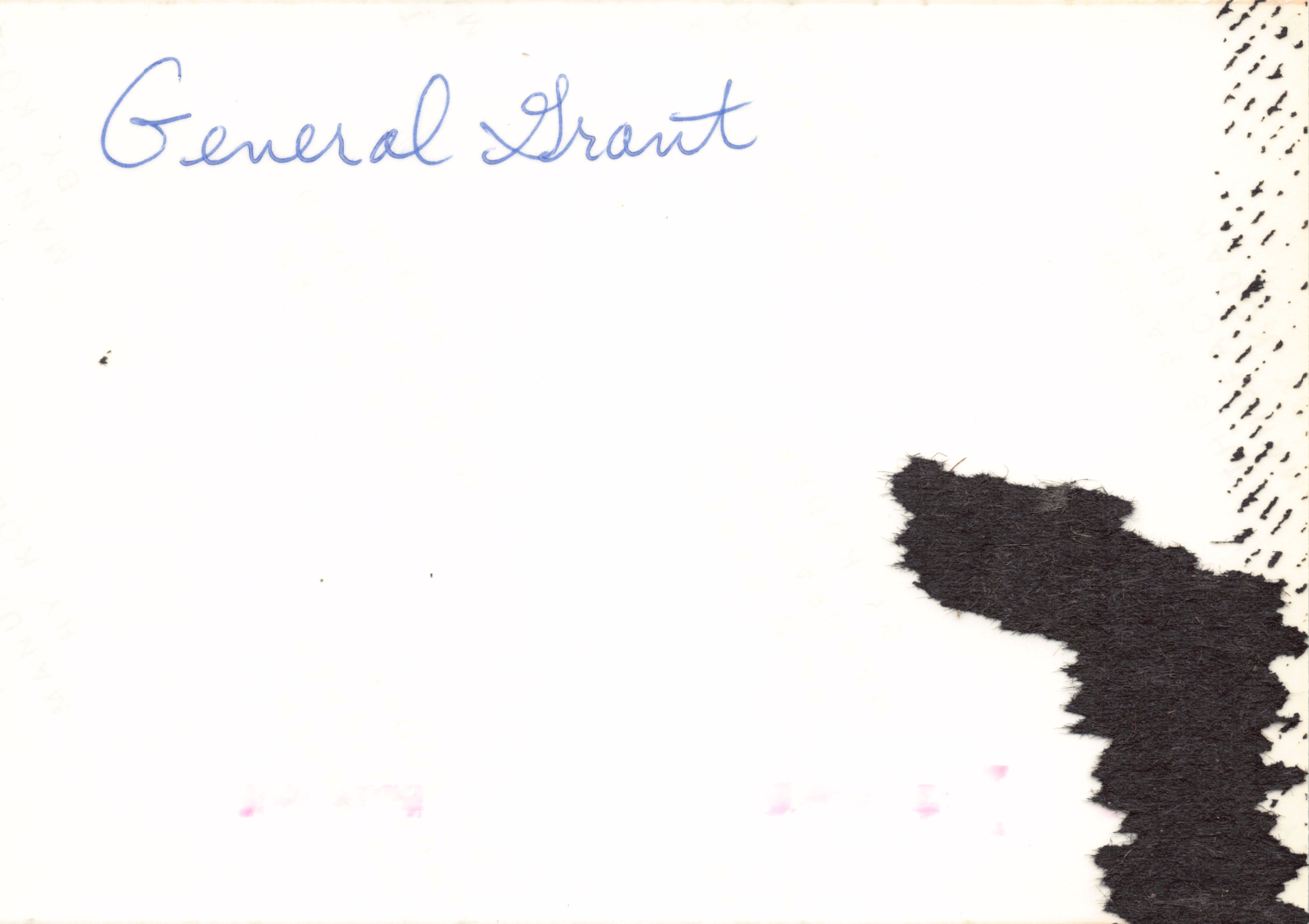 1984_31.jpg