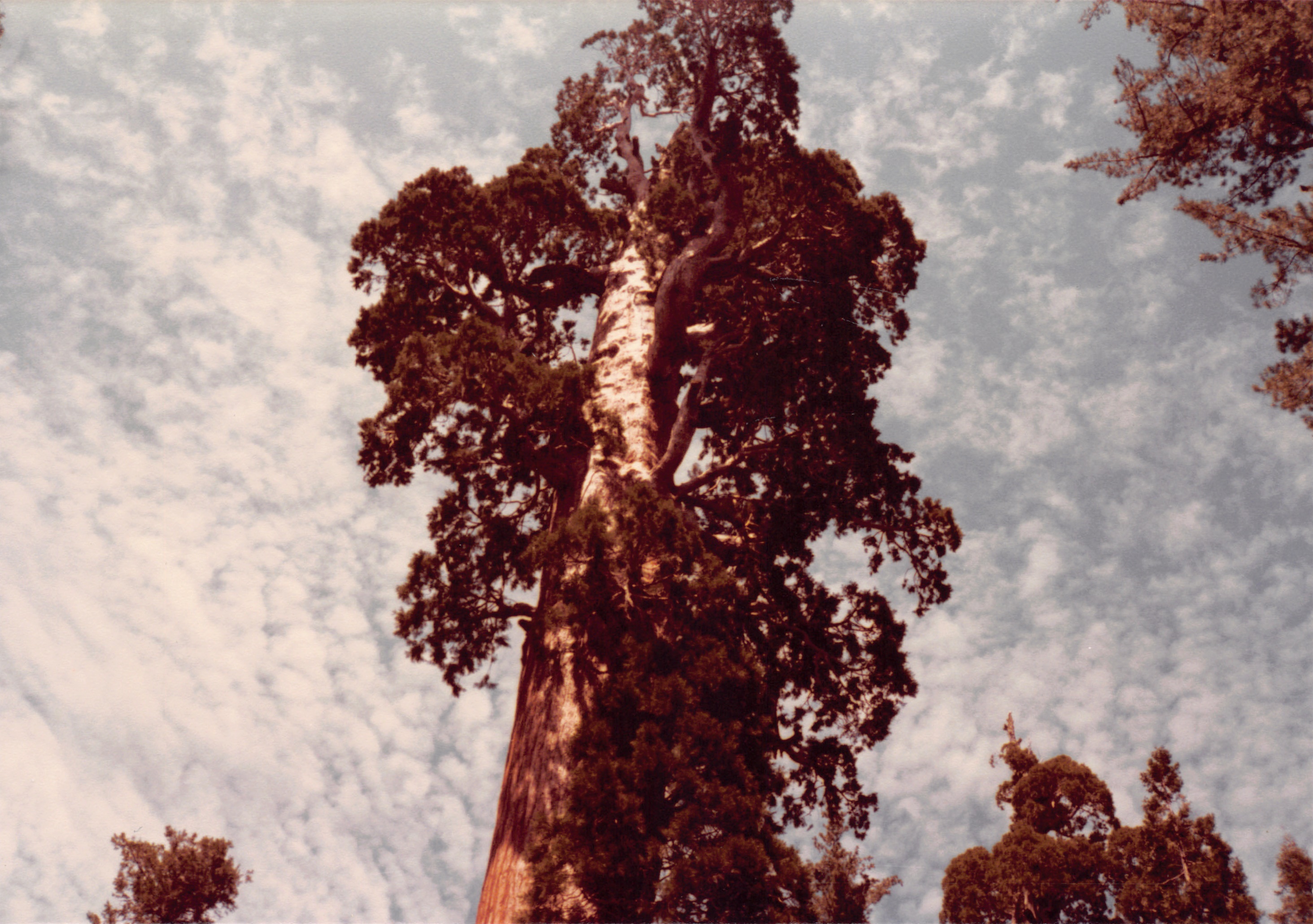 1984_32.jpg
