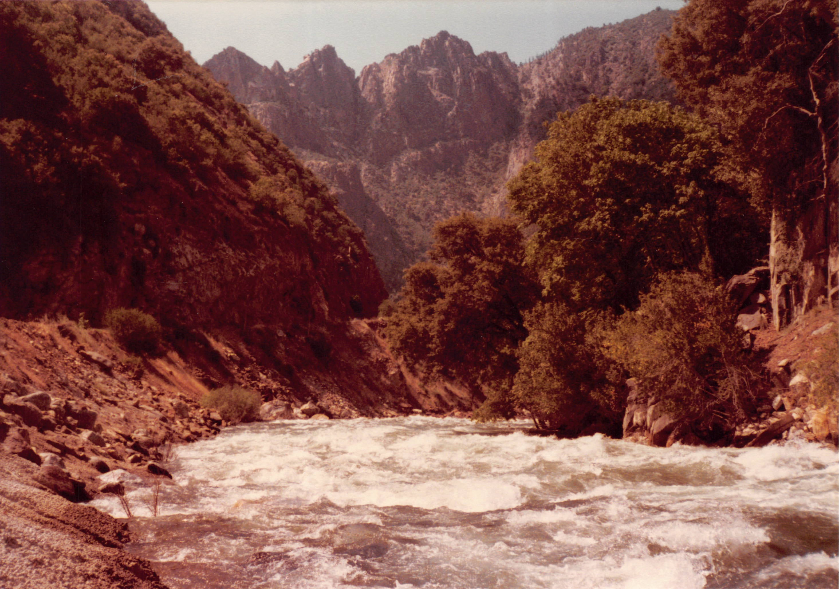 1984_34.jpg
