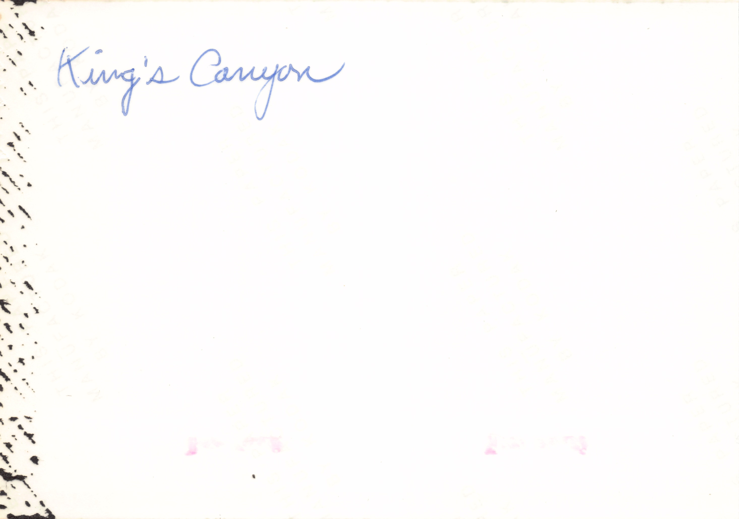 1984_35.jpg