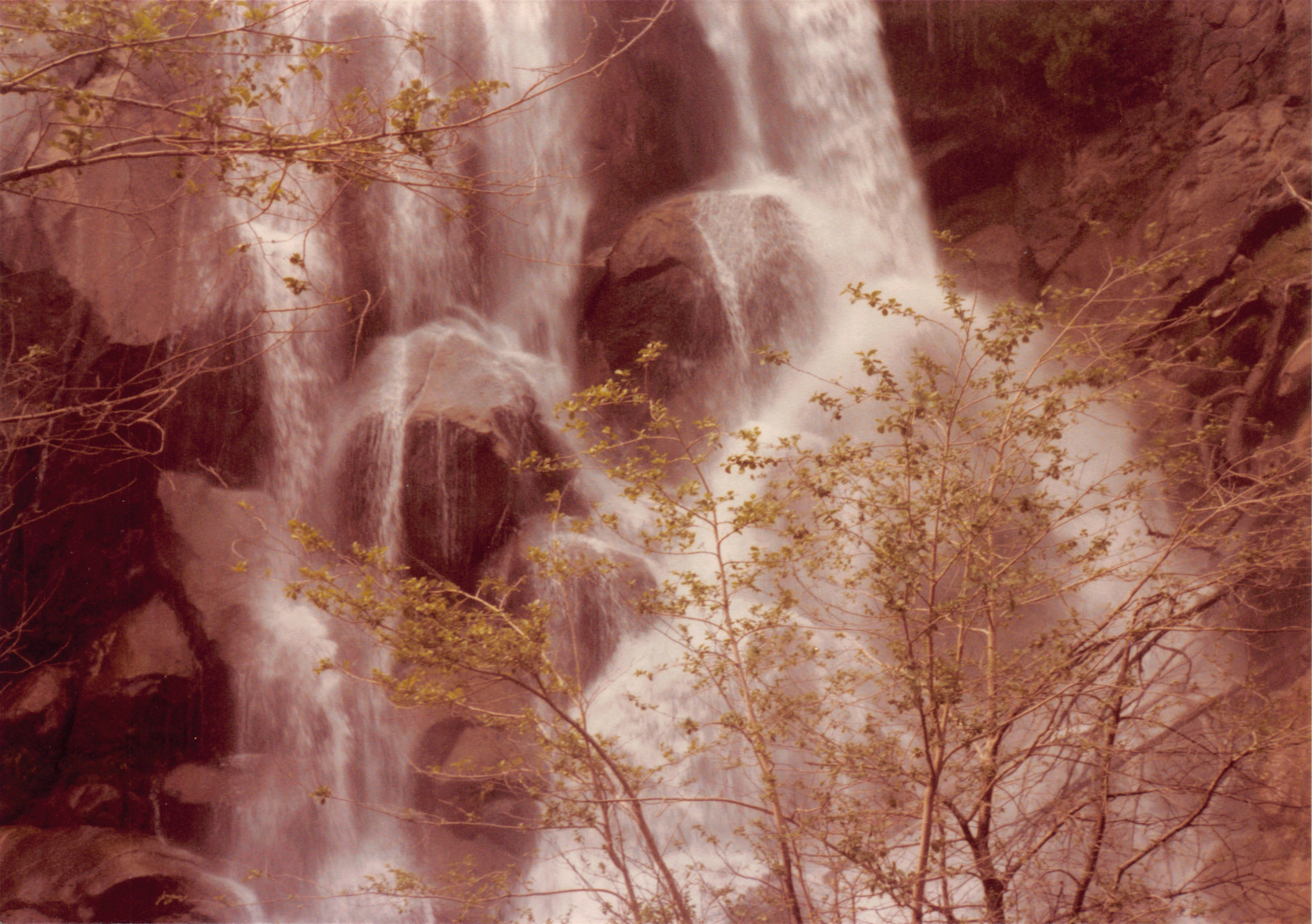 1984_36.jpg