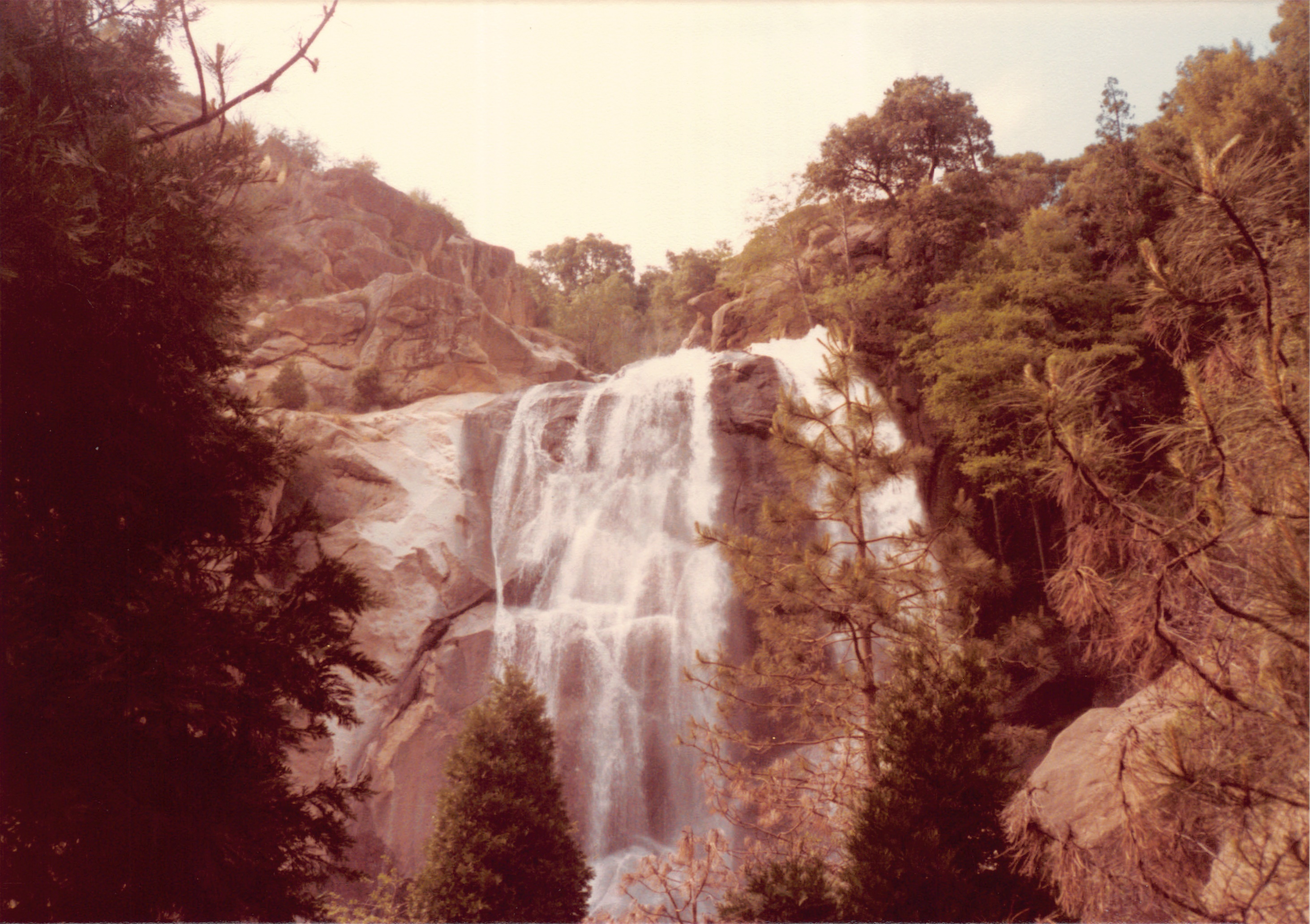 1984_42.jpg