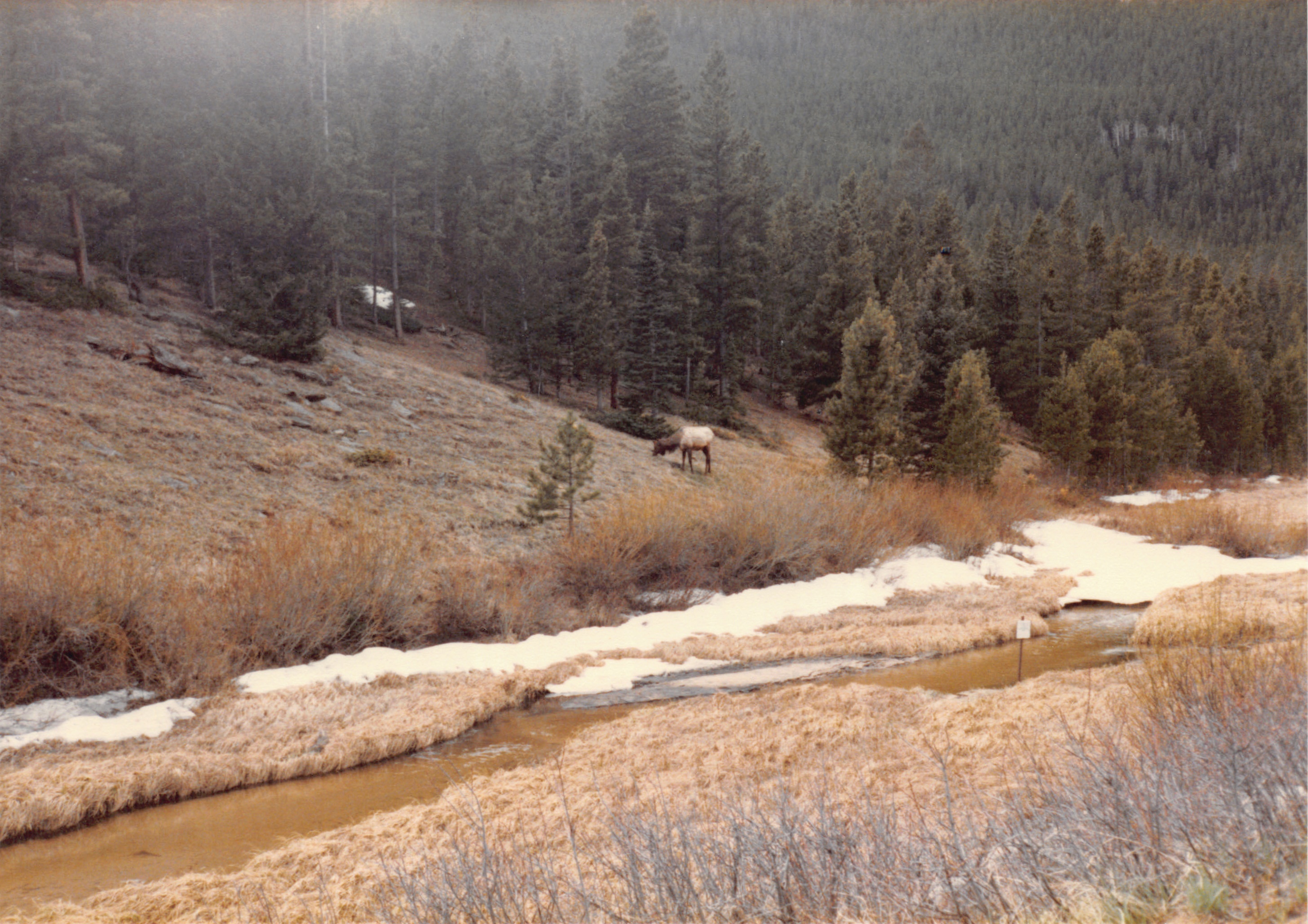 1985_05.jpg
