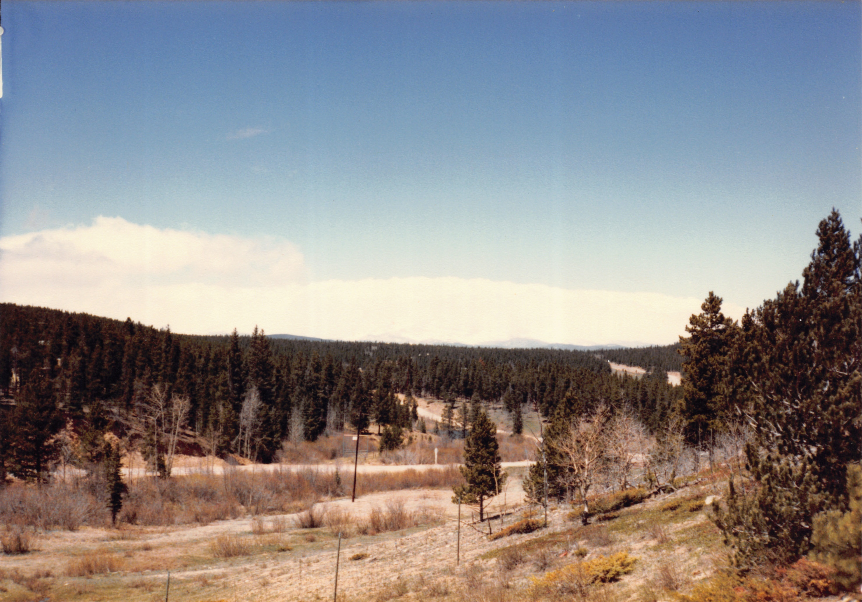 1985_14.jpg