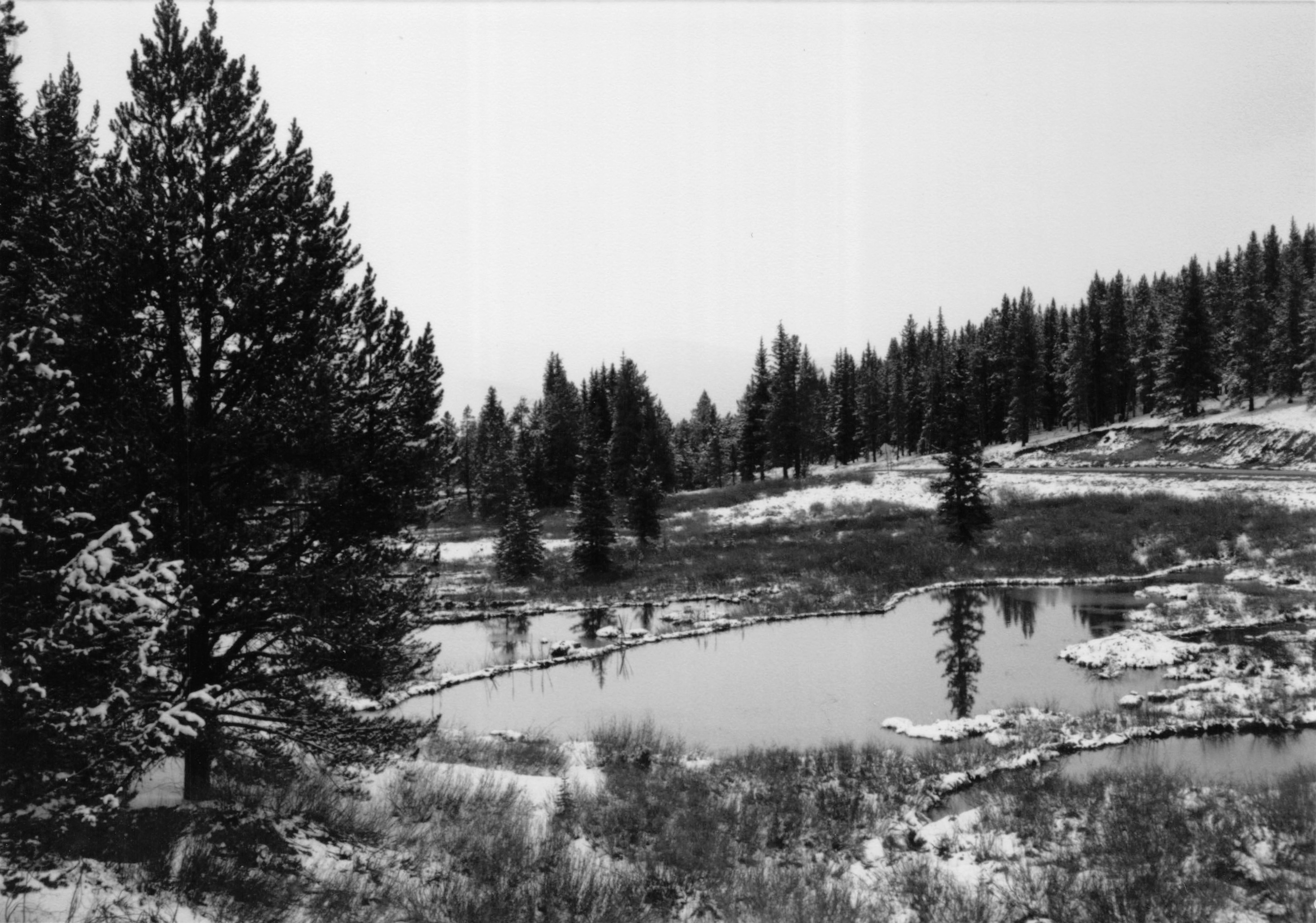1985_17.jpg