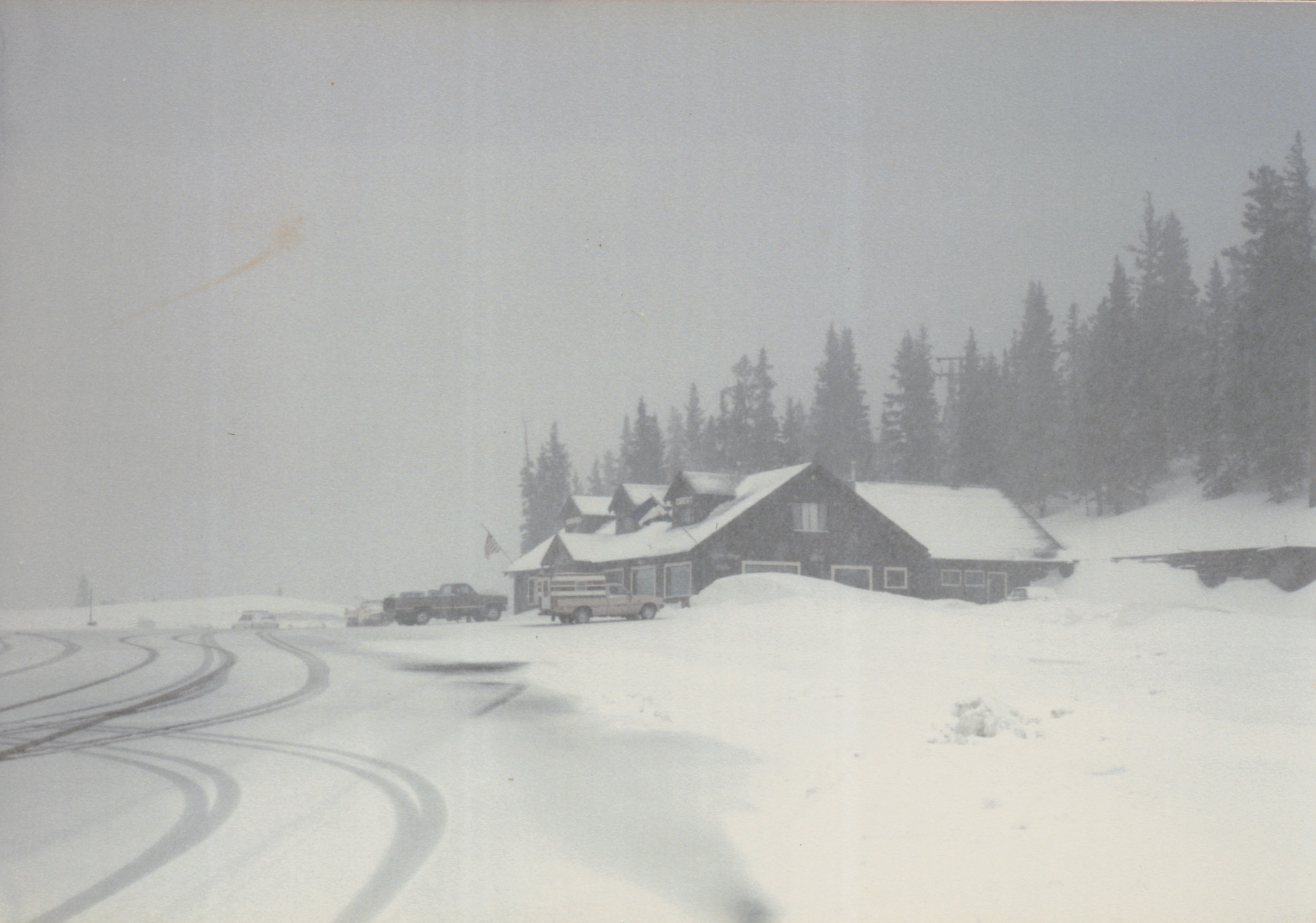 1985_25.jpg