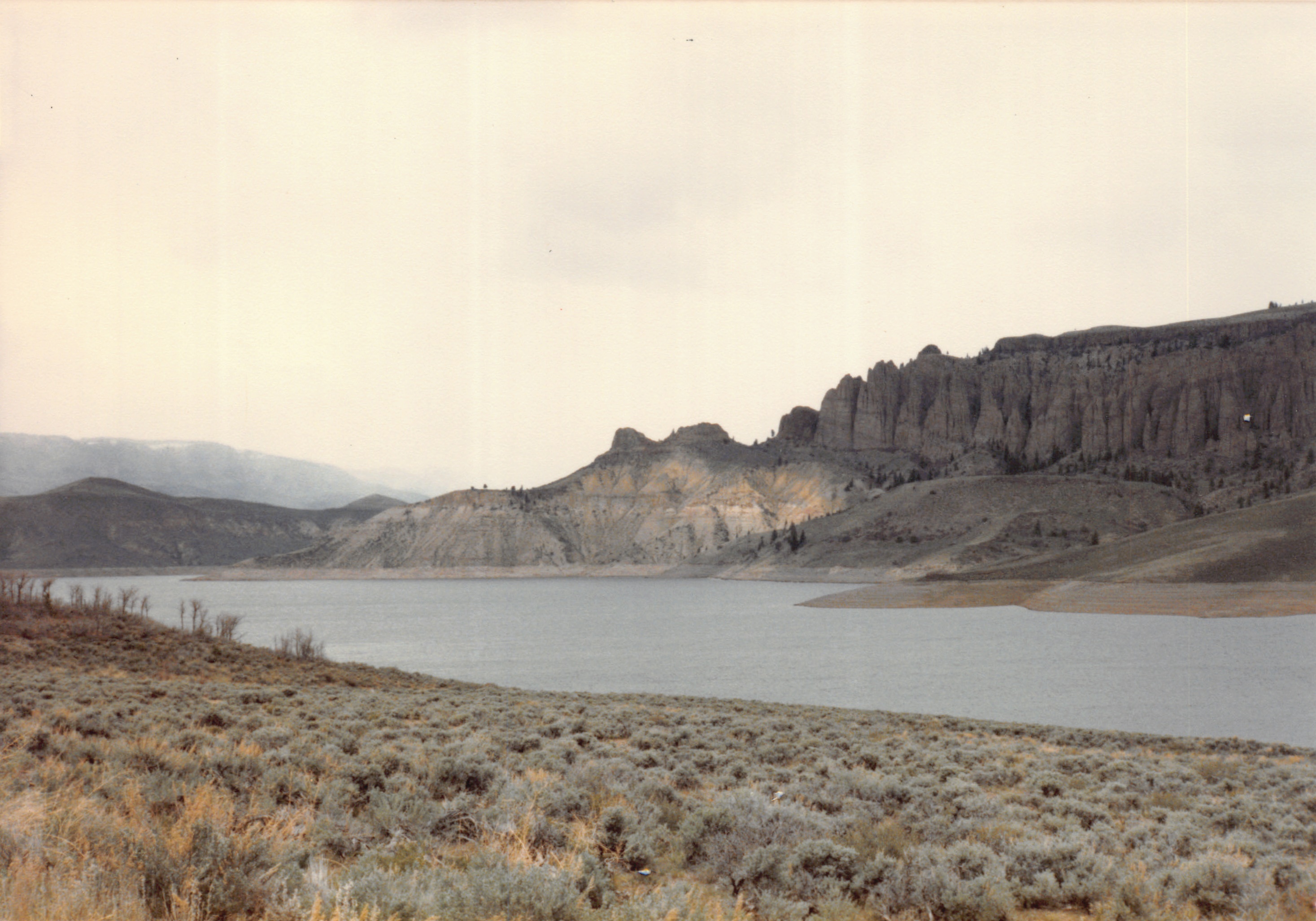 1985_36.jpg