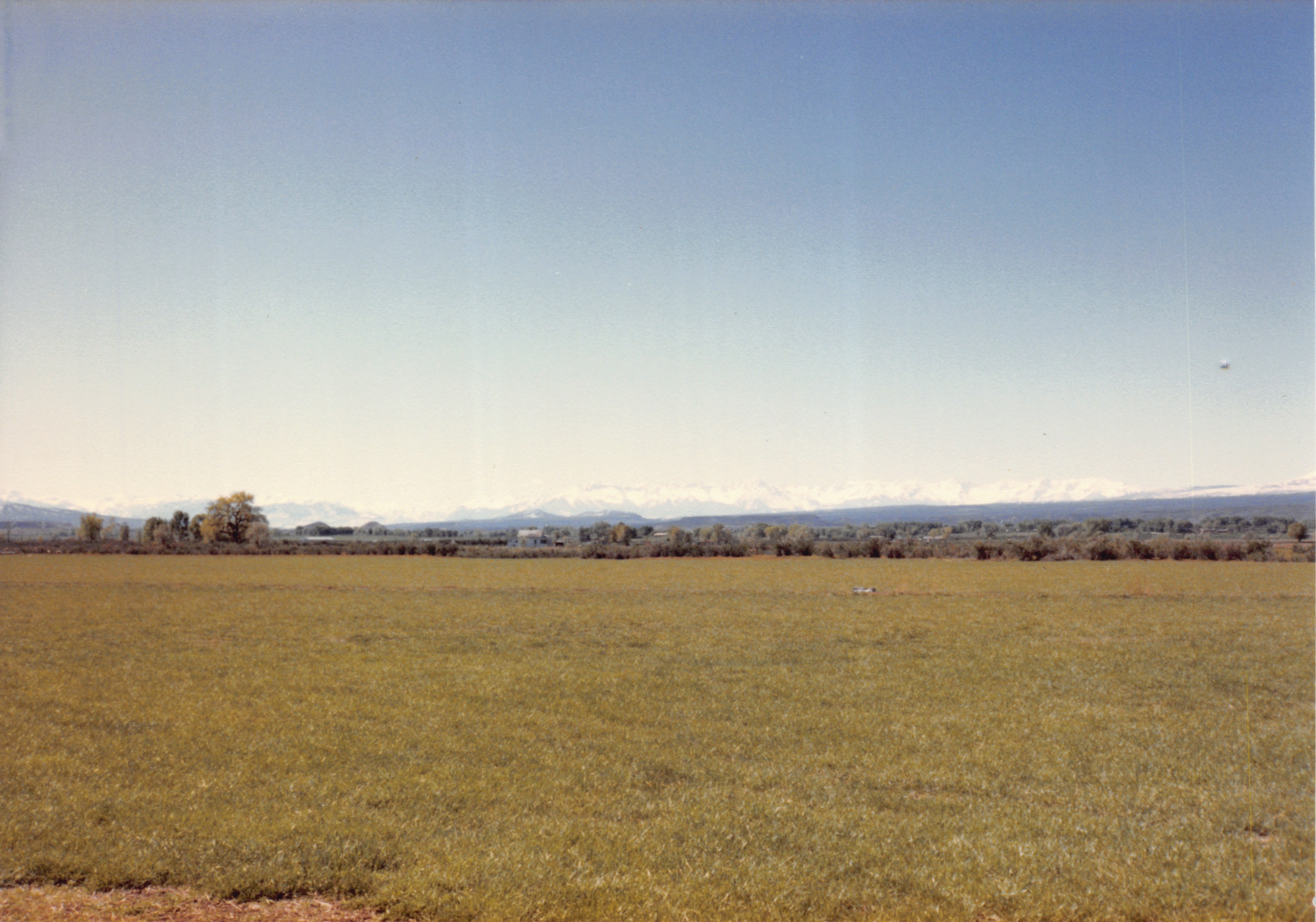 1985_40.jpg