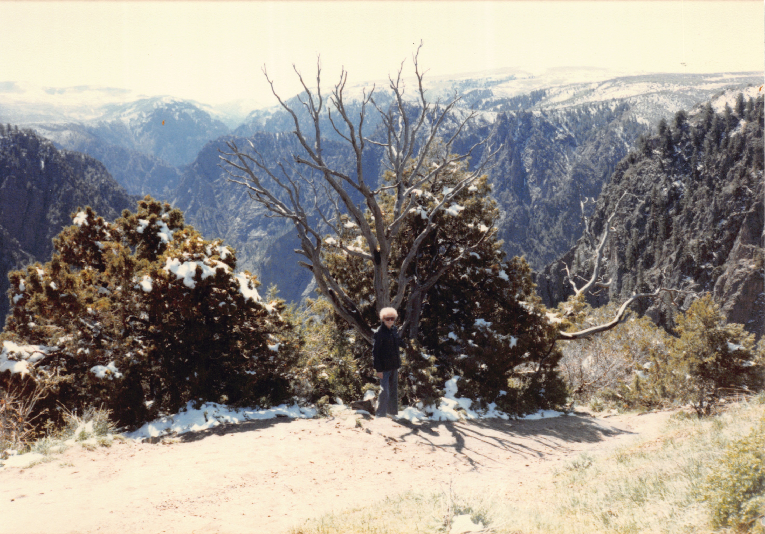 1985_42.jpg