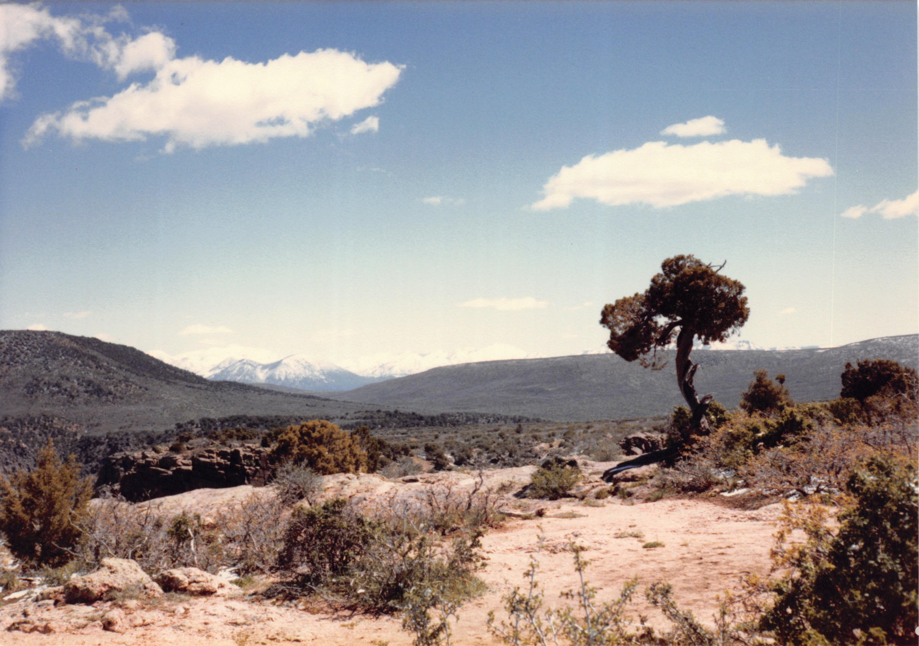 1985_45.jpg