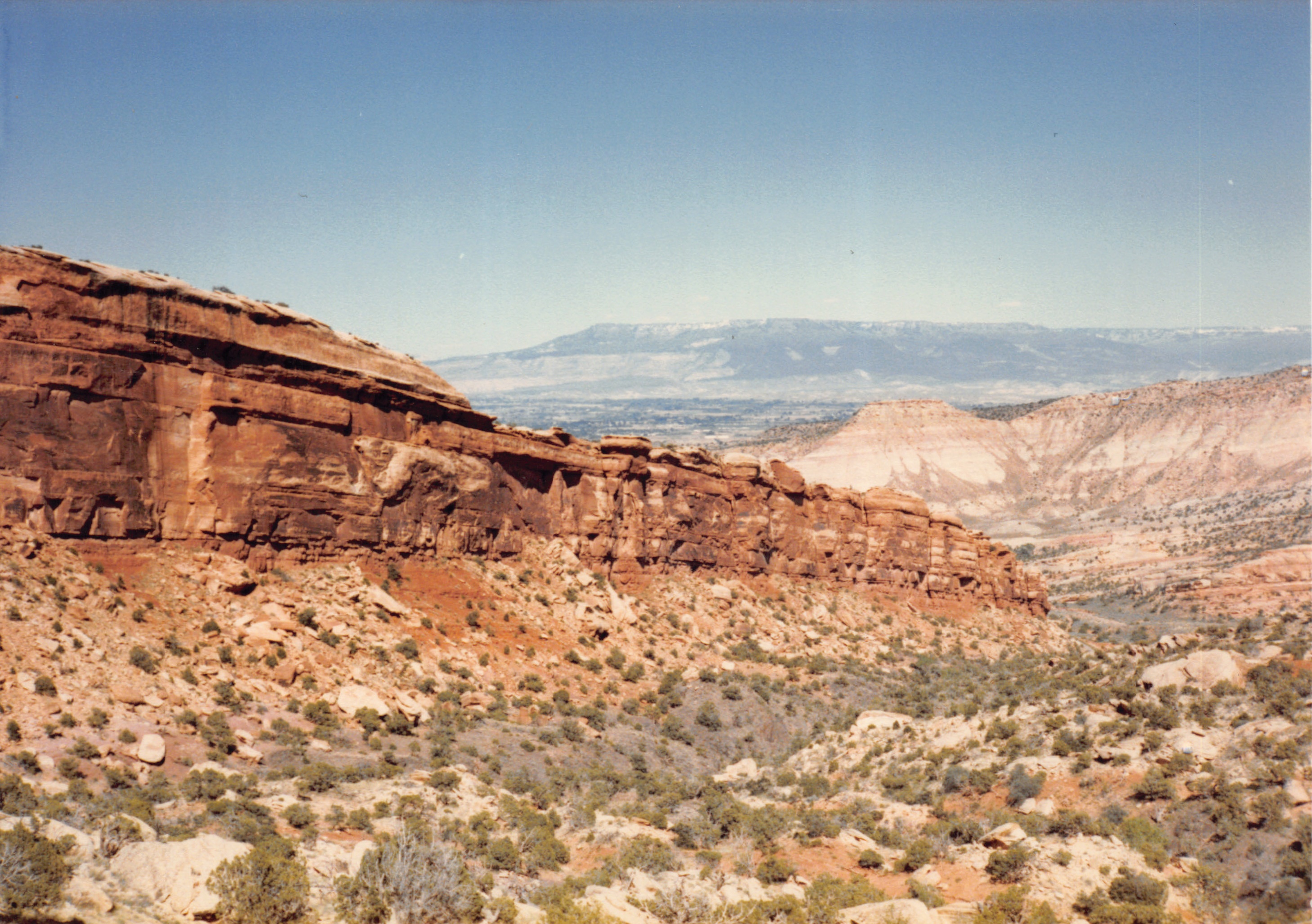 1985_47.jpg