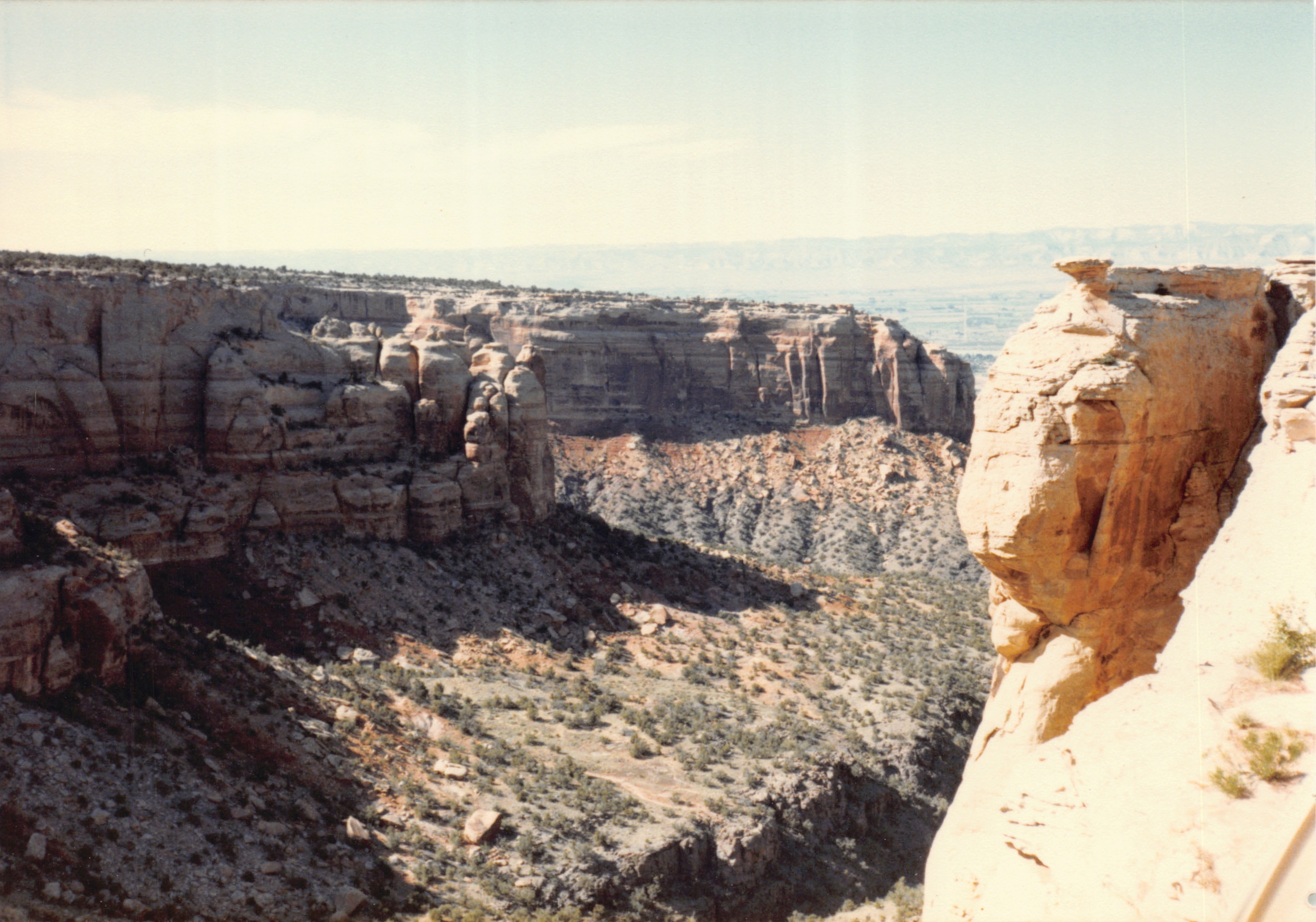 1985_48.jpg