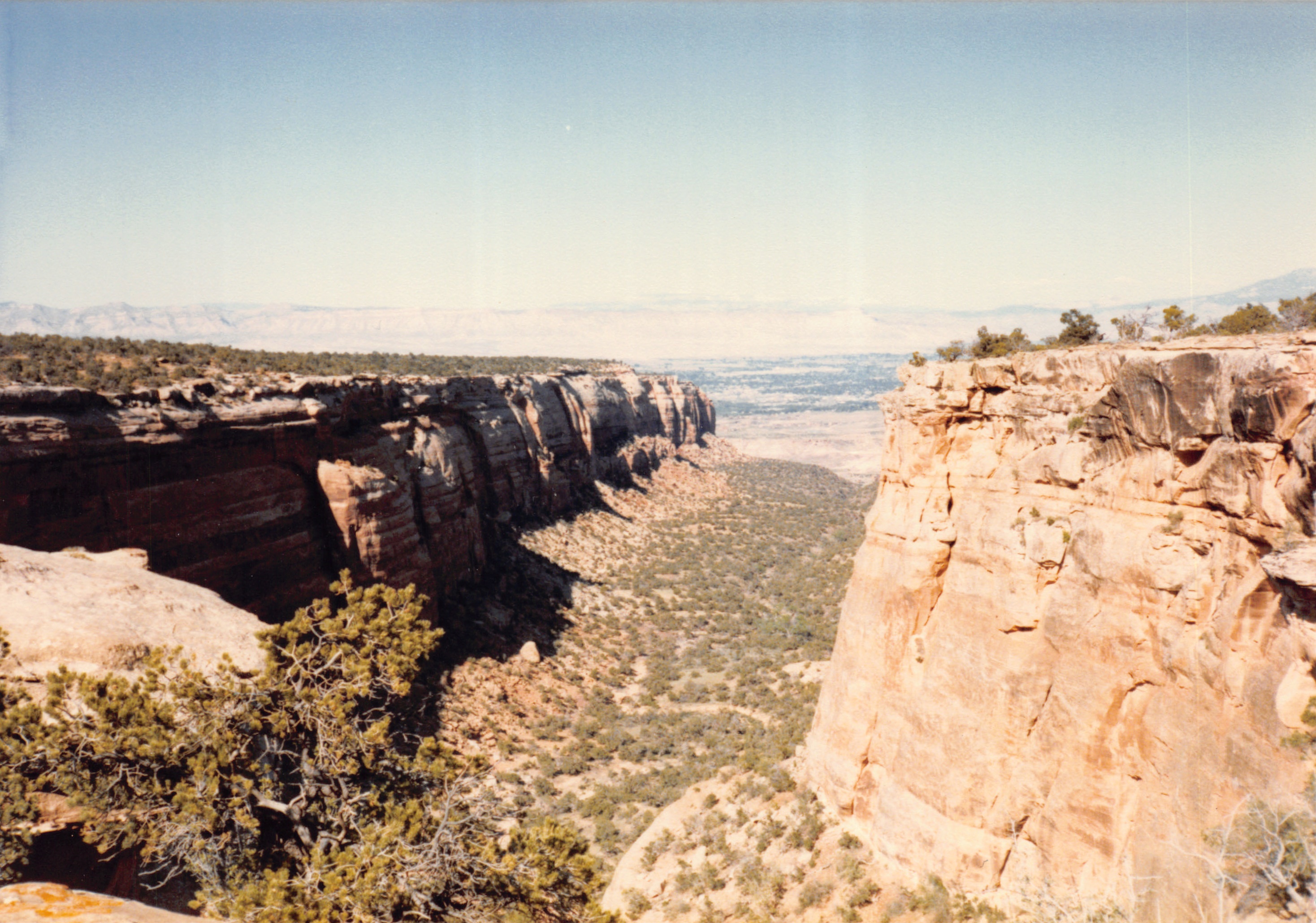 1985_49.jpg