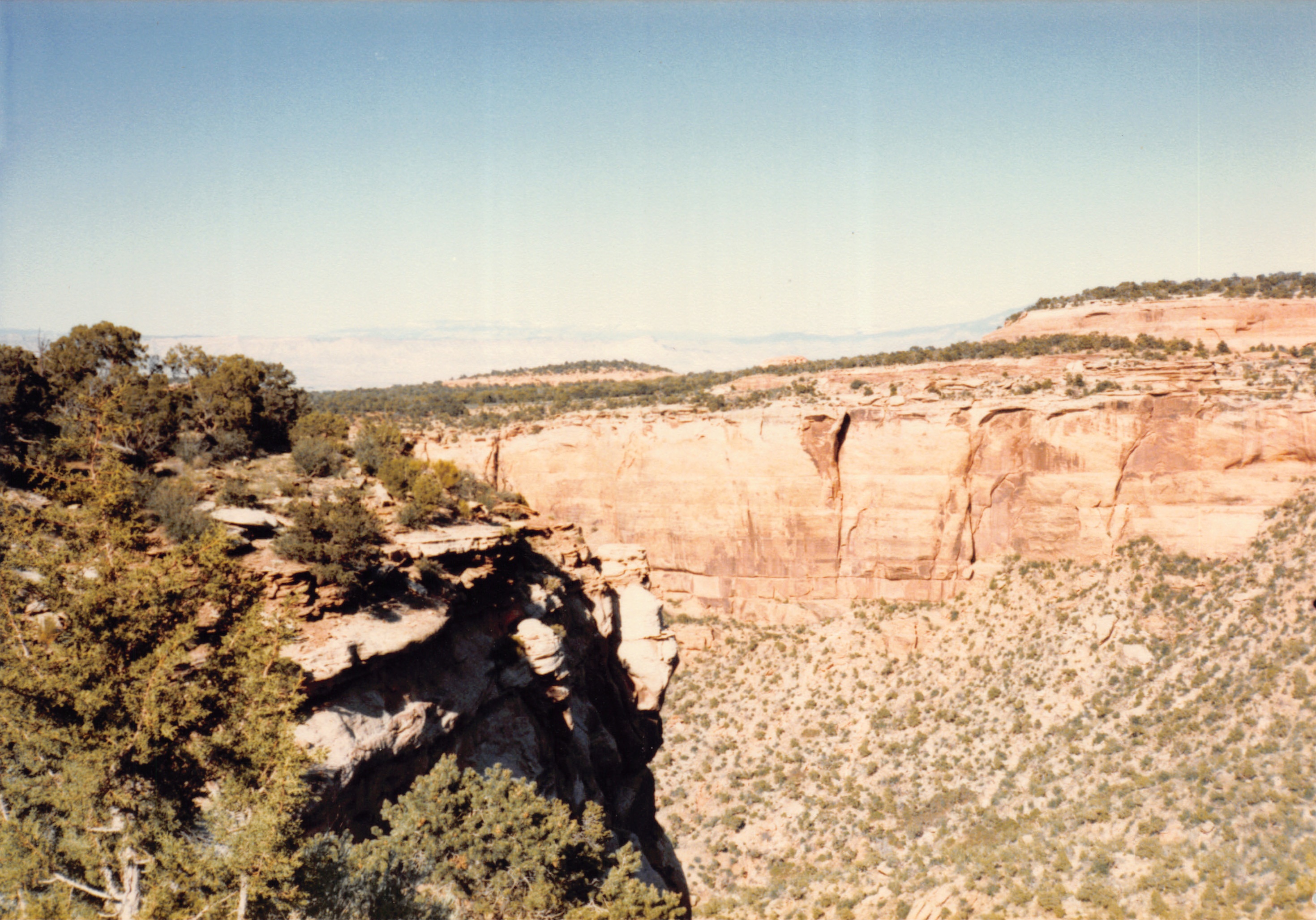1985_51.jpg