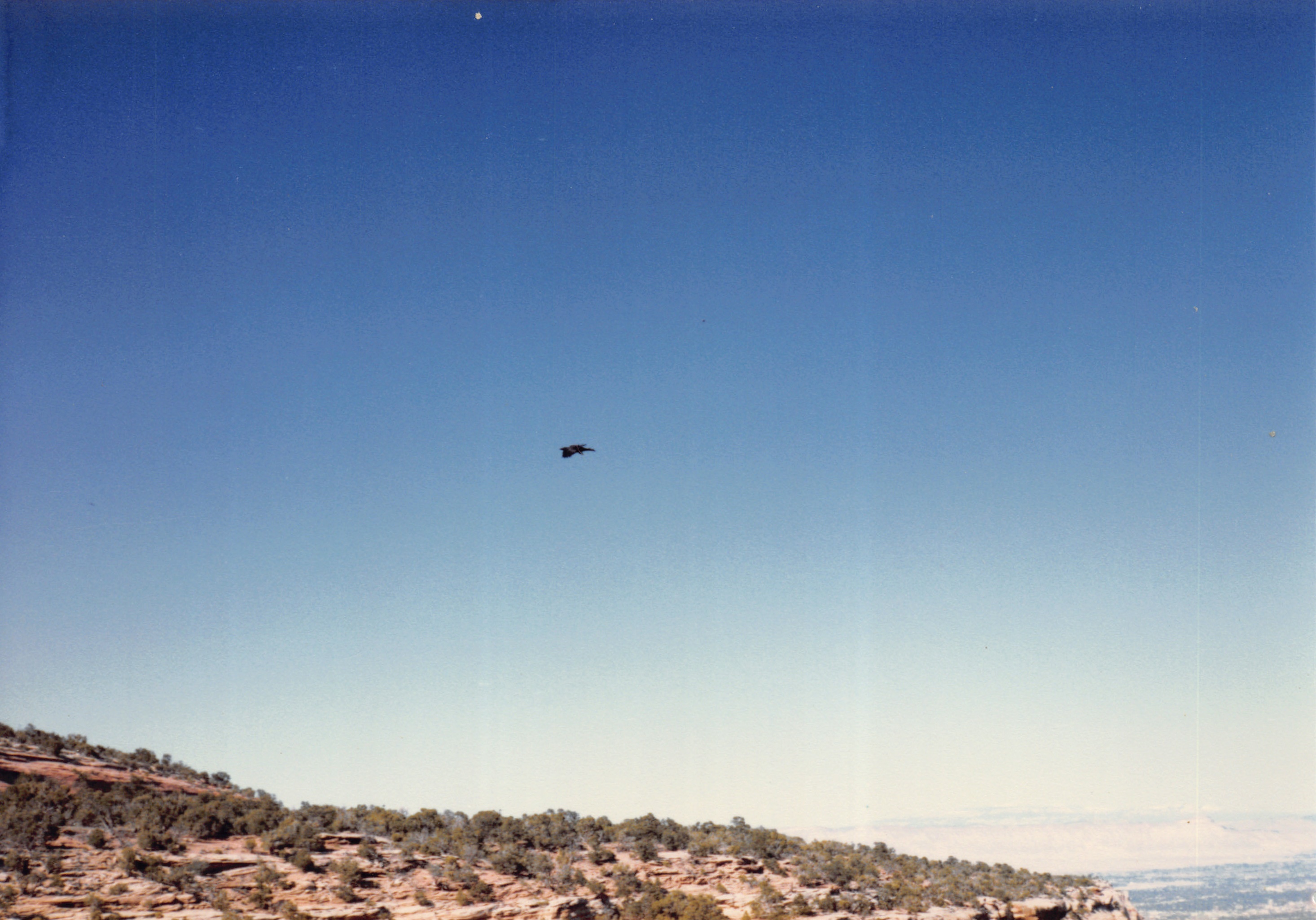 1985_52.jpg