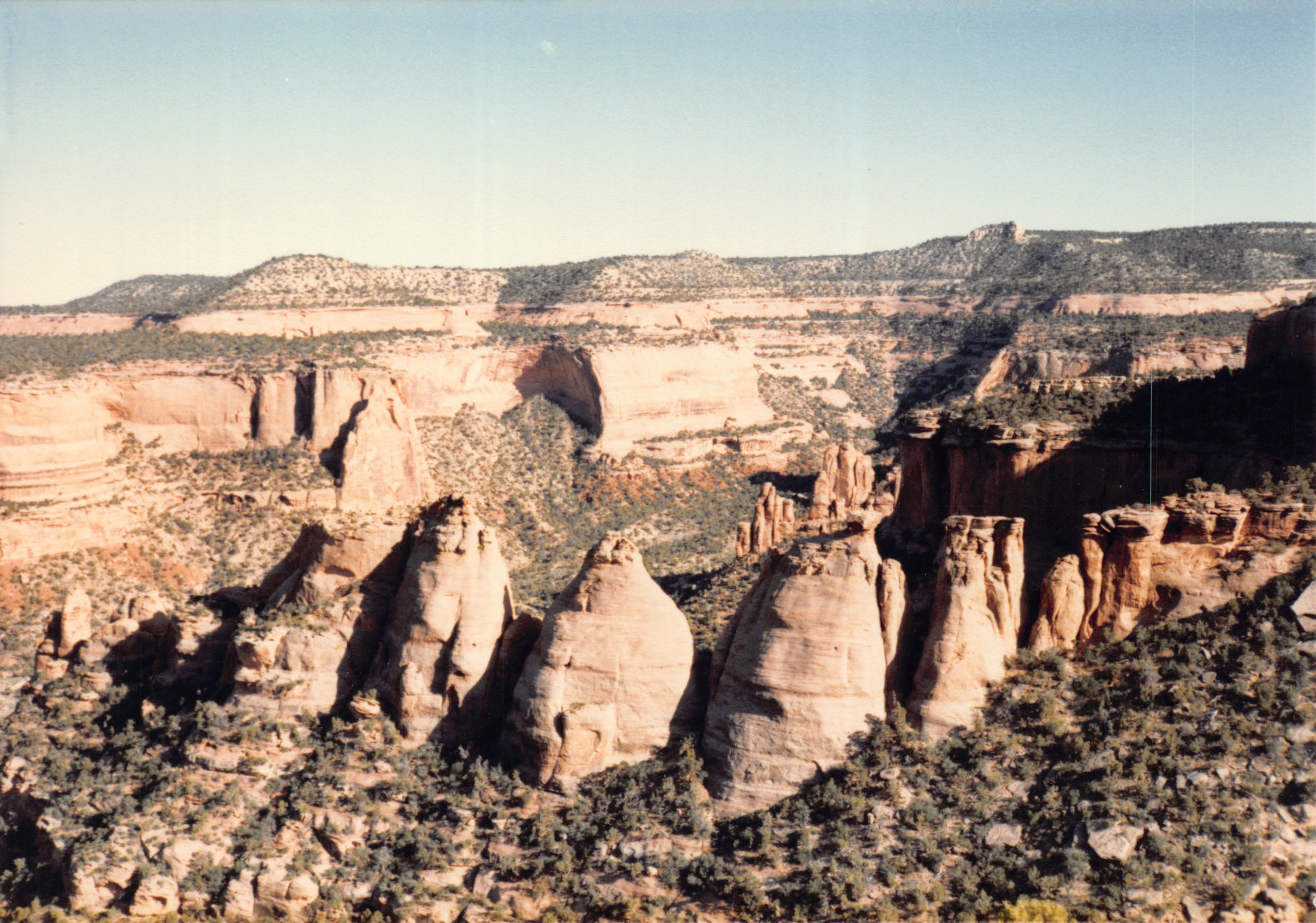 1985_54.jpg