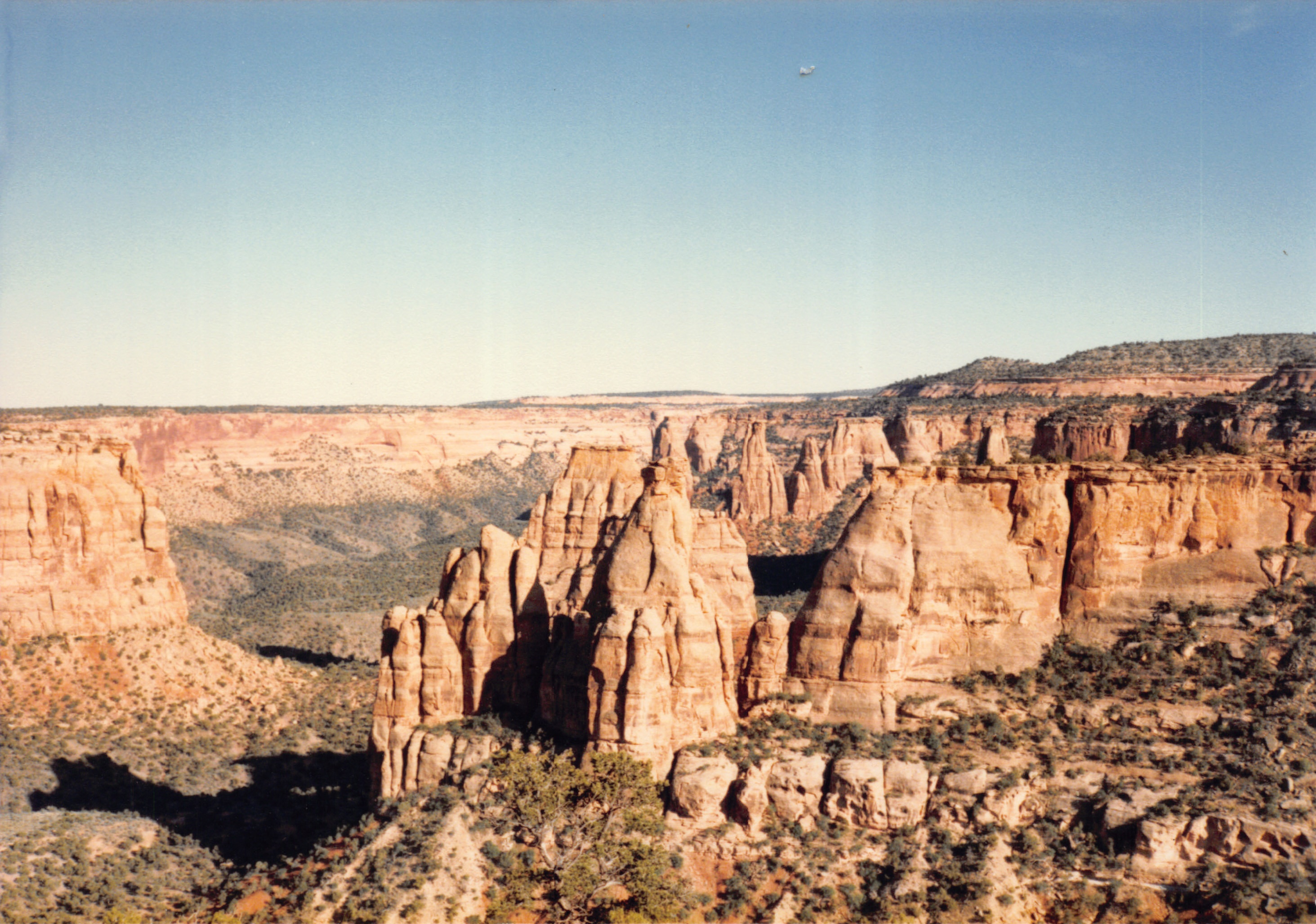 1985_55.jpg