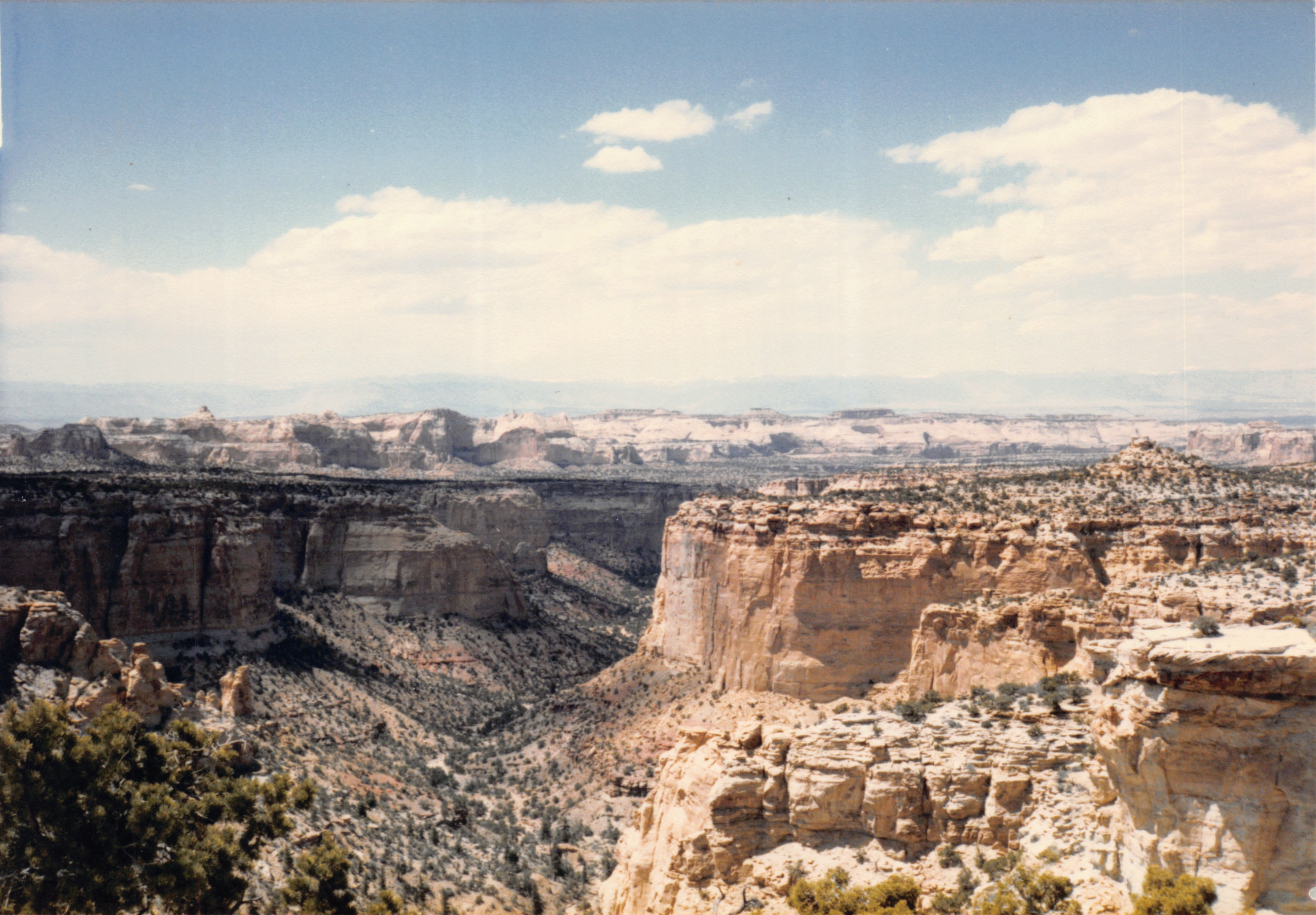 1985_64.jpg