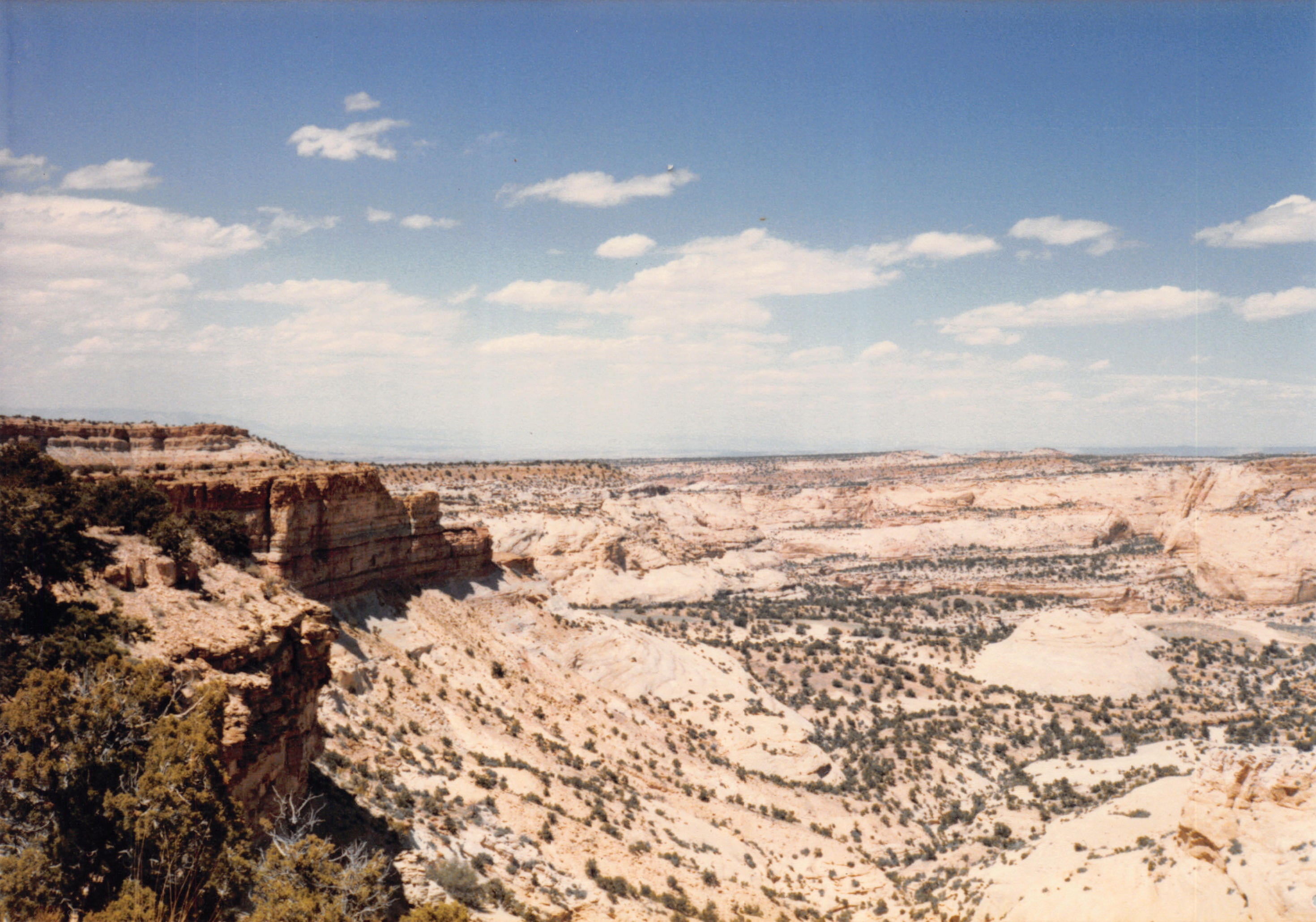 1985_66.jpg
