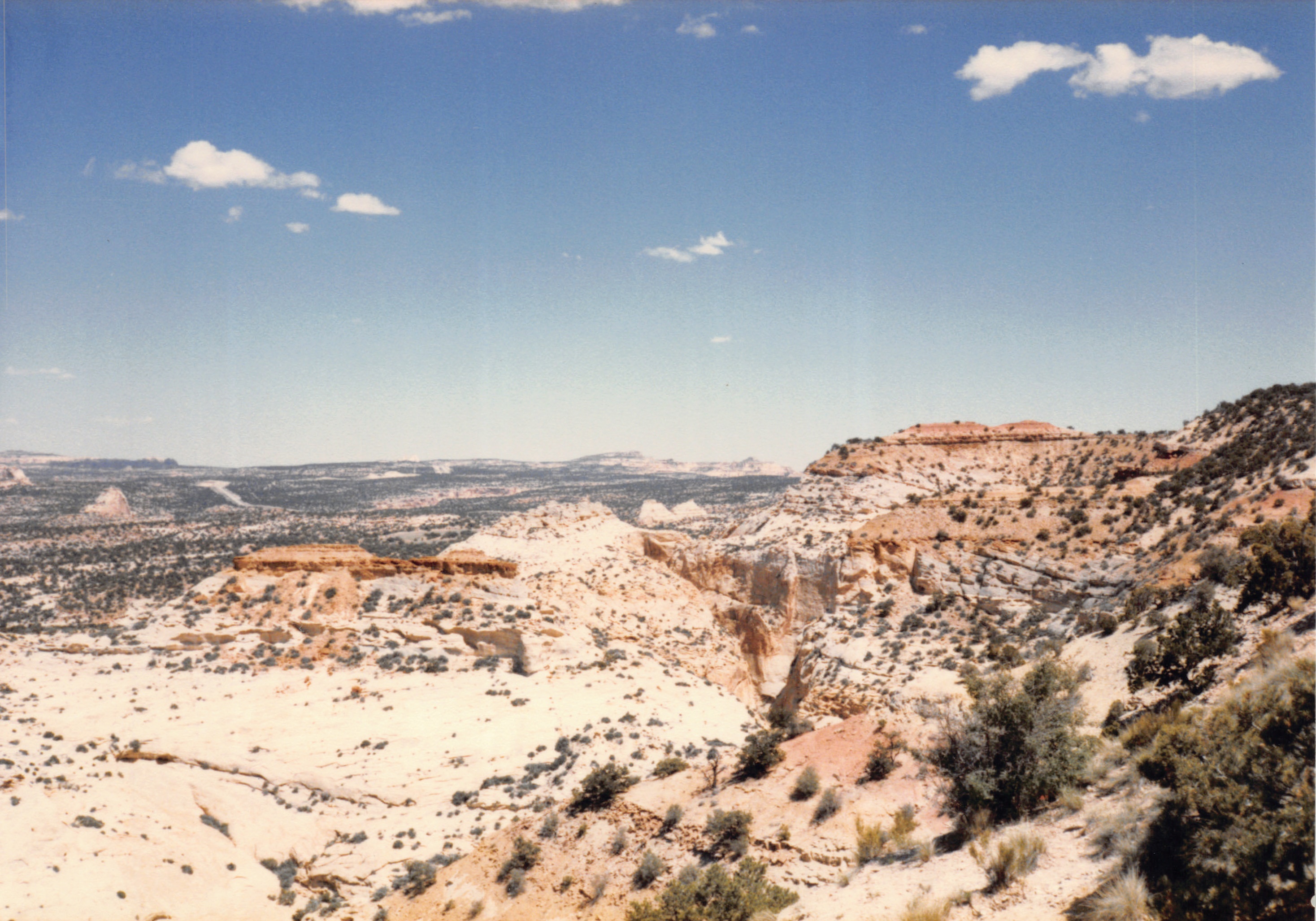 1985_68.jpg