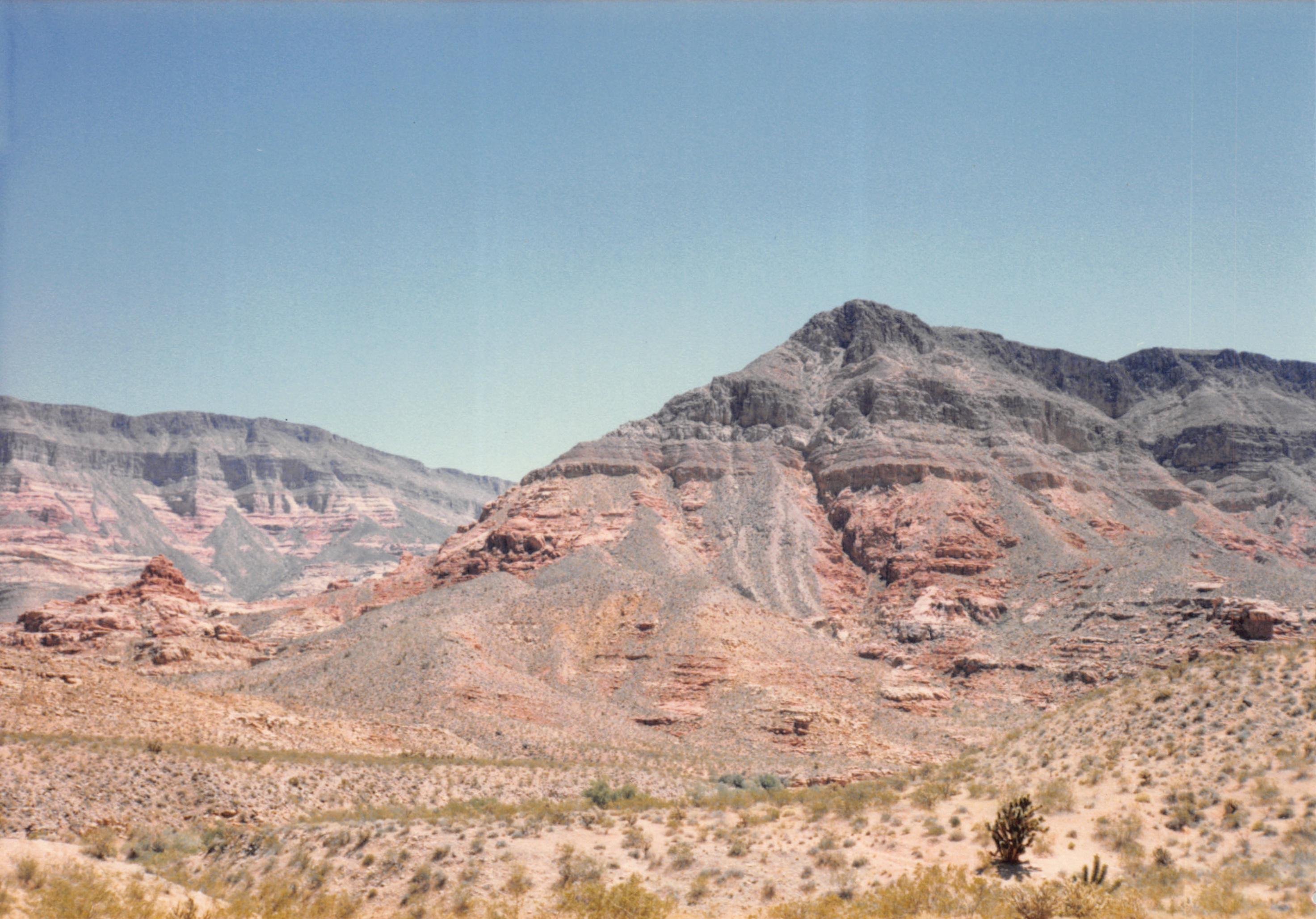 1985_75.jpg