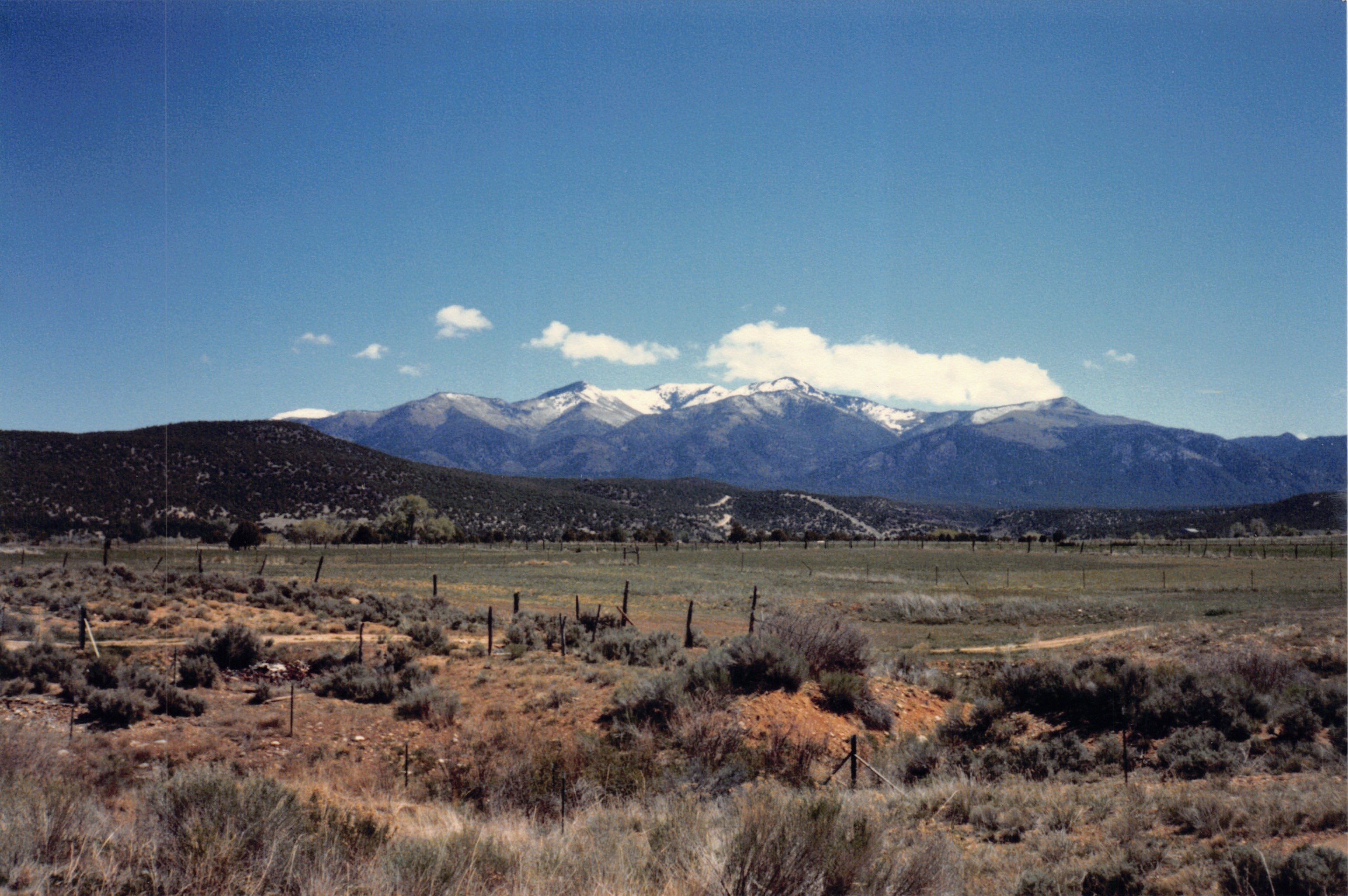 1986_13.jpg
