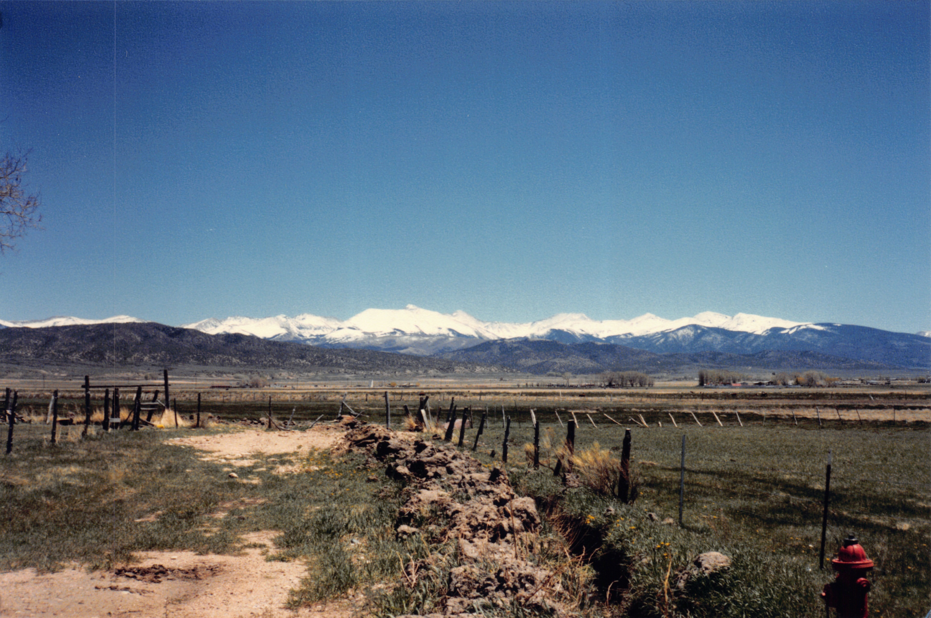 1986_14.jpg