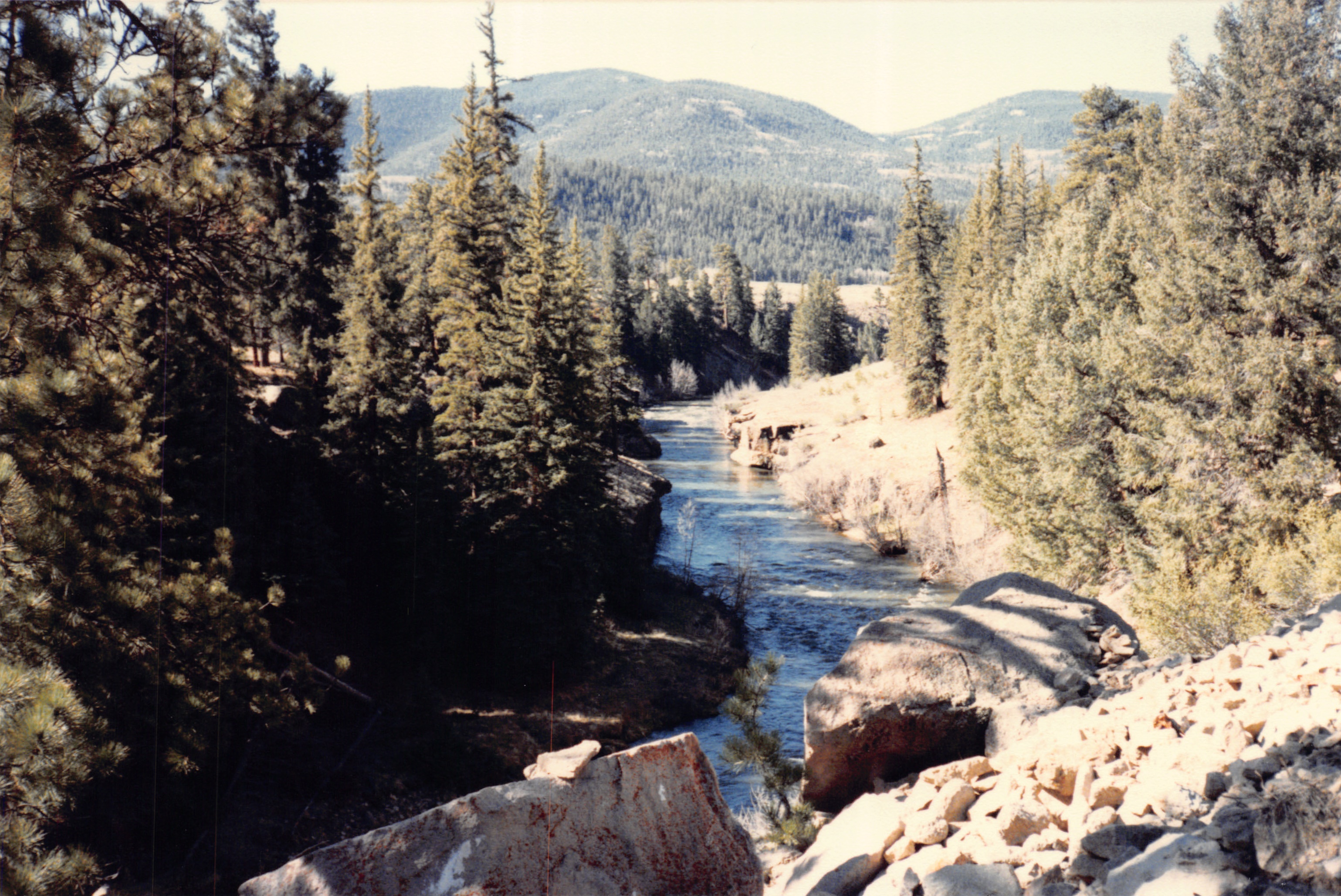 1986_15.jpg